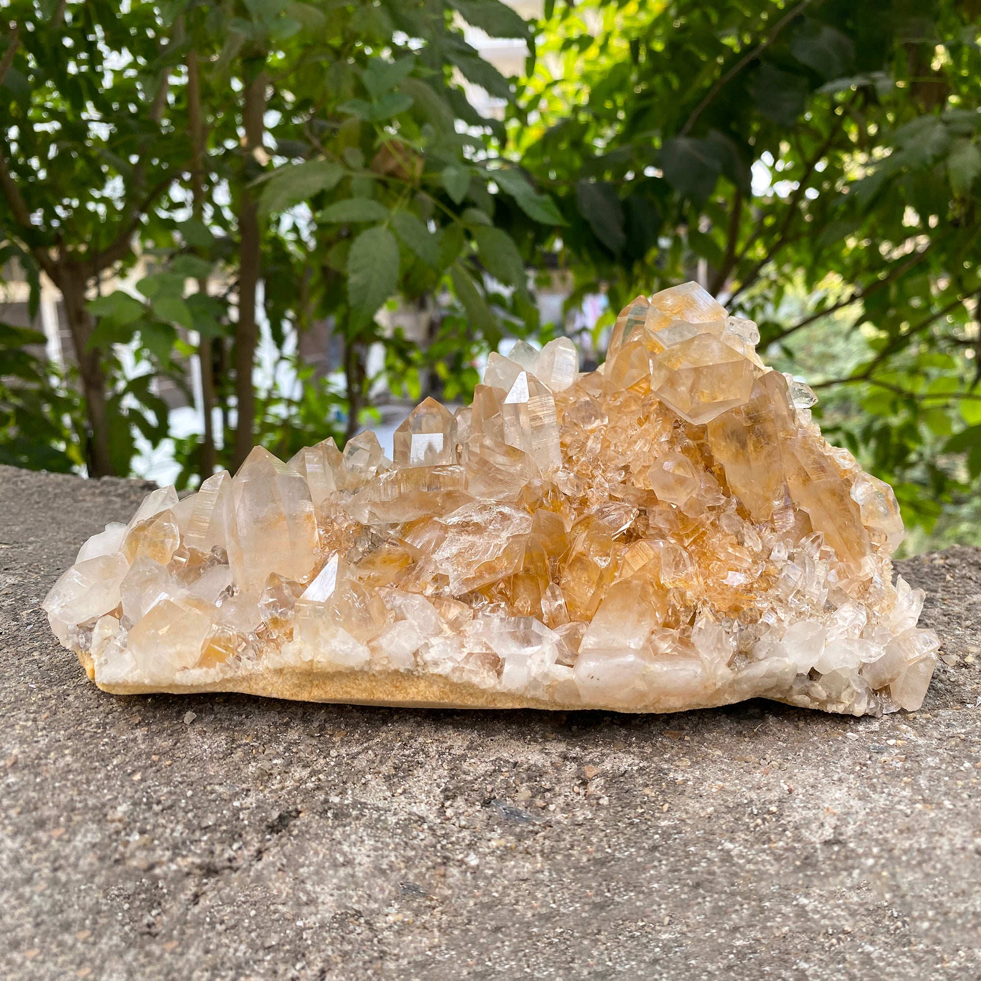 Natural Himalayan Yellow Quartz Cluster 1250g Healing Crystal
