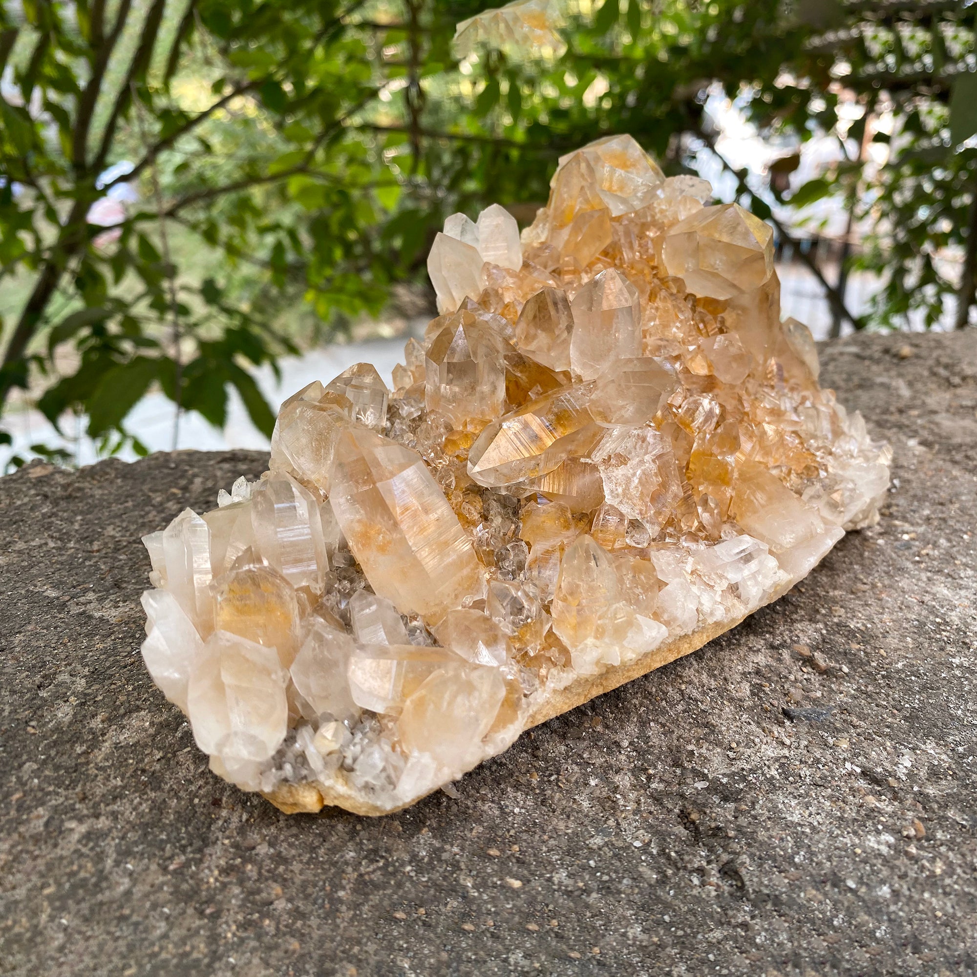 Natural Himalayan Yellow Quartz Cluster 1250g Healing Crystal