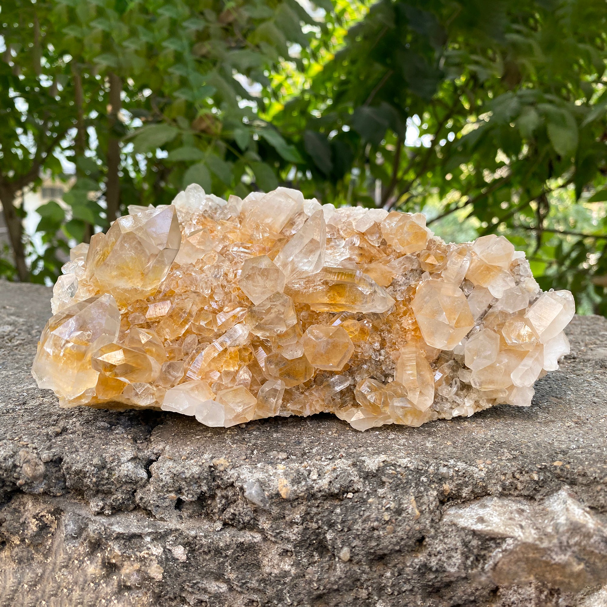 Natural Himalayan Yellow Quartz Cluster 1250g Healing Crystal