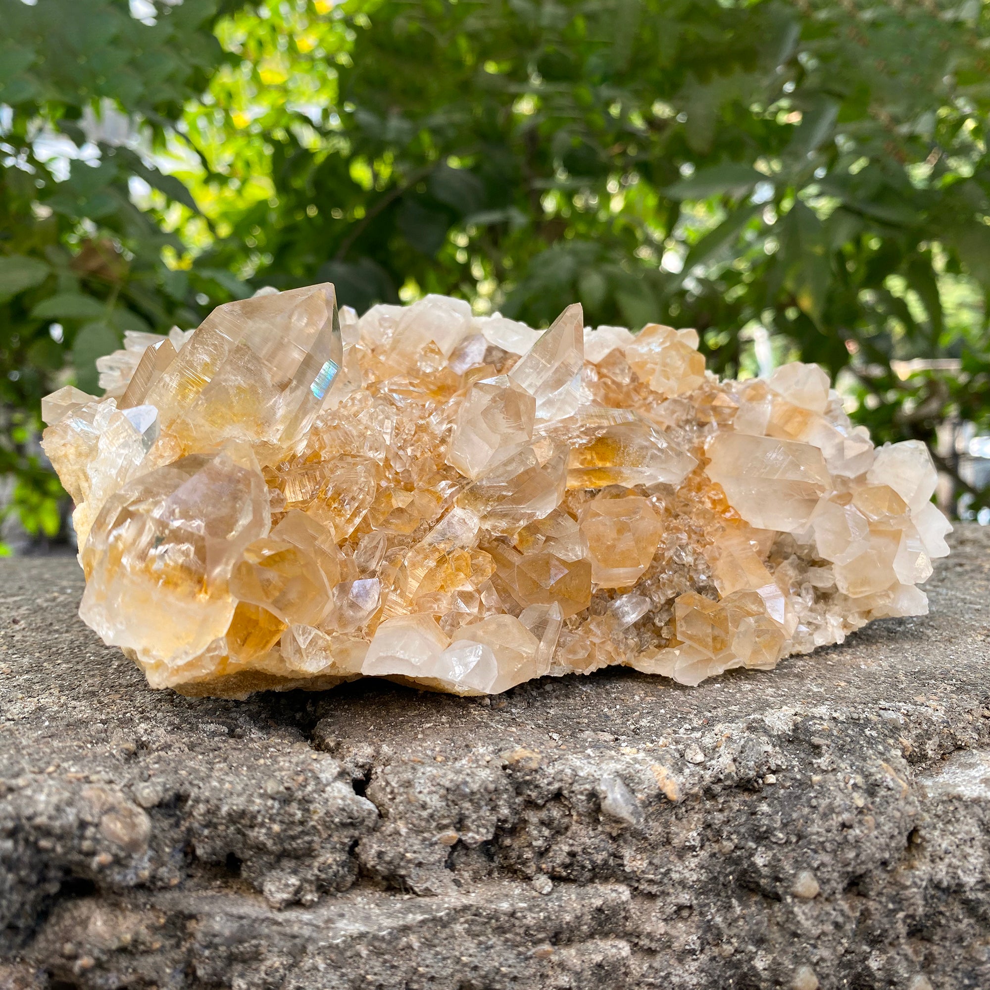 Natural Himalayan Yellow Quartz Cluster 1250g Healing Crystal