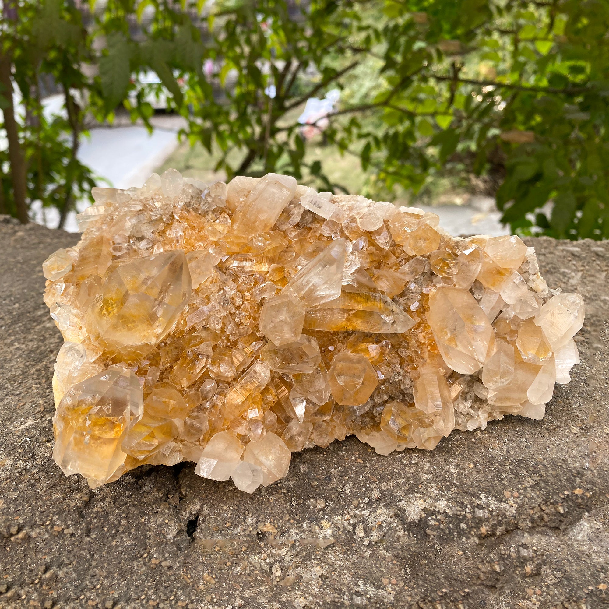 Natural Himalayan Yellow Quartz Cluster 1250g Healing Crystal