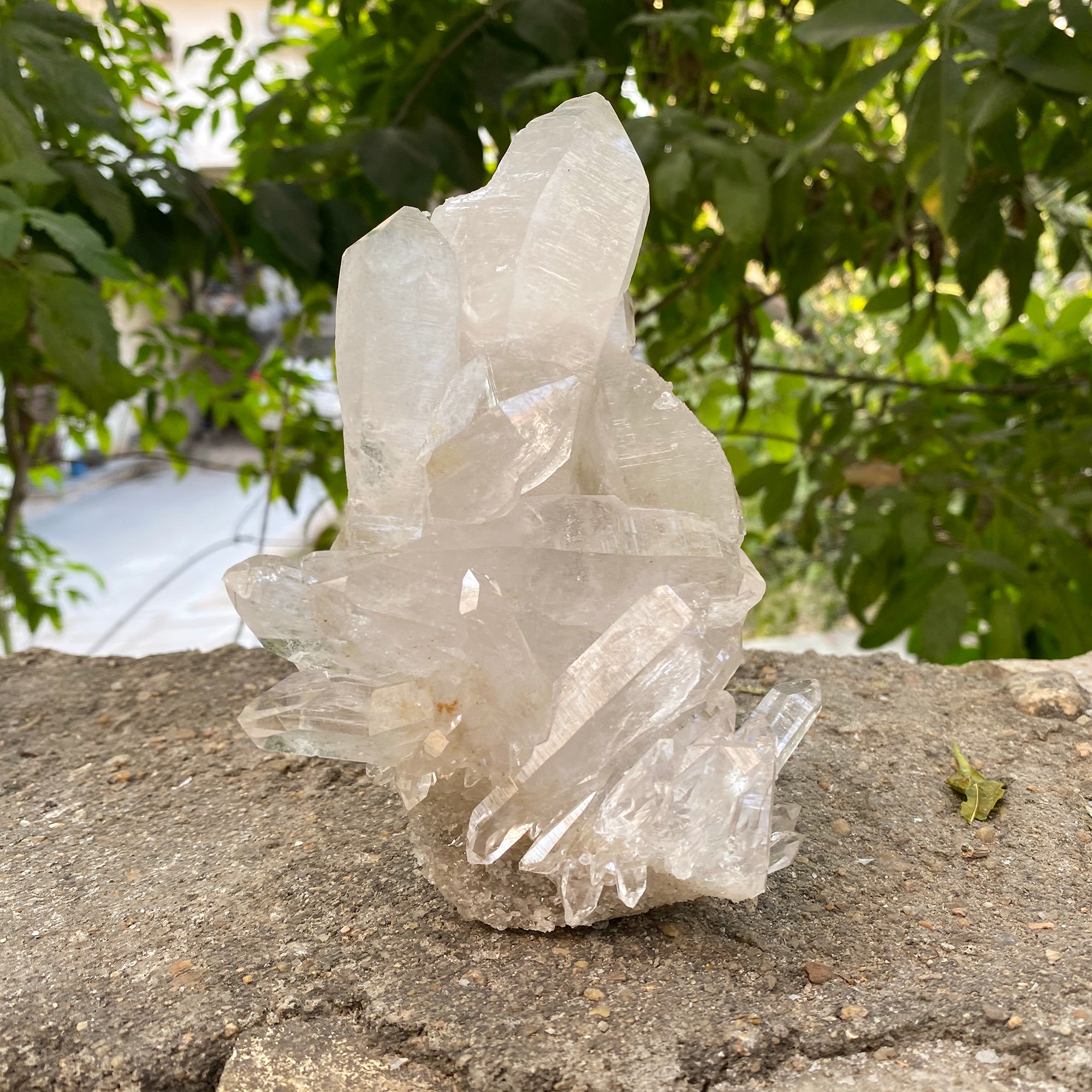 Natural Himalayan White Quartz Cluster 635g Healing Crystal
