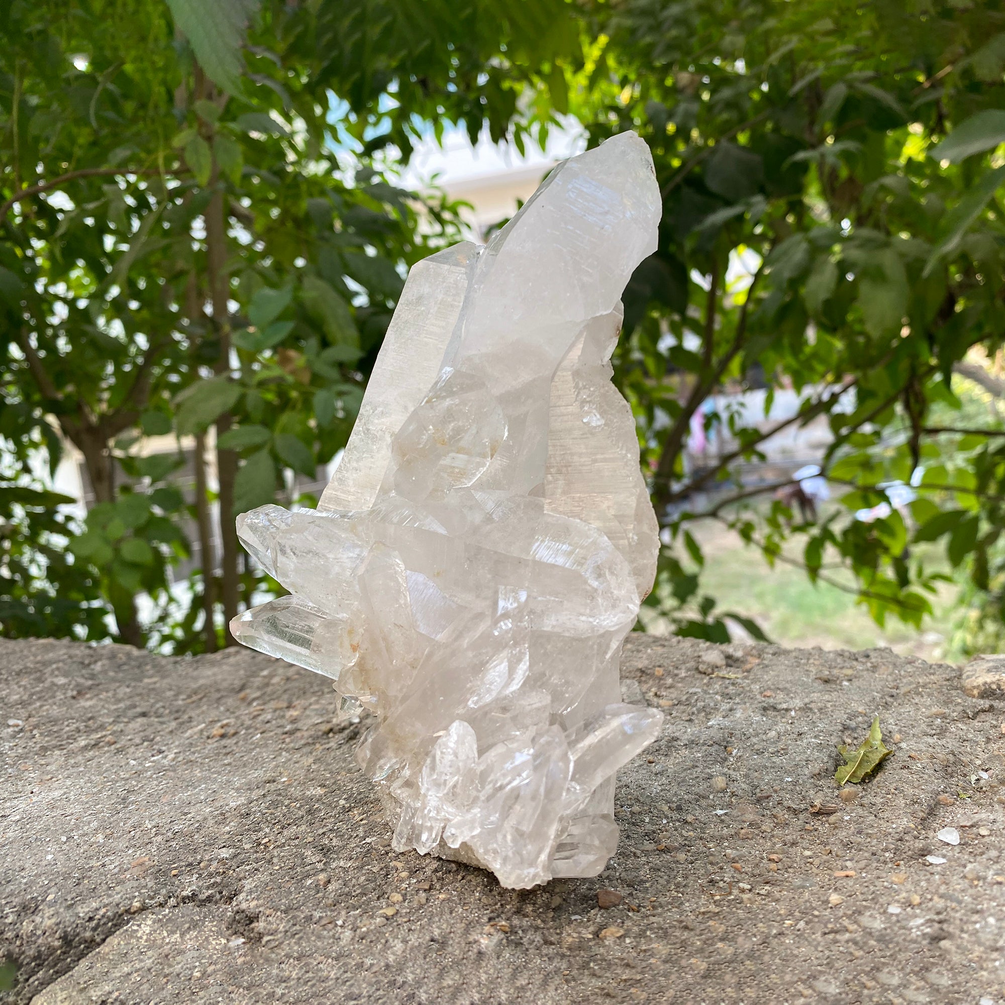 Natural Himalayan White Quartz Cluster 635g Healing Crystal