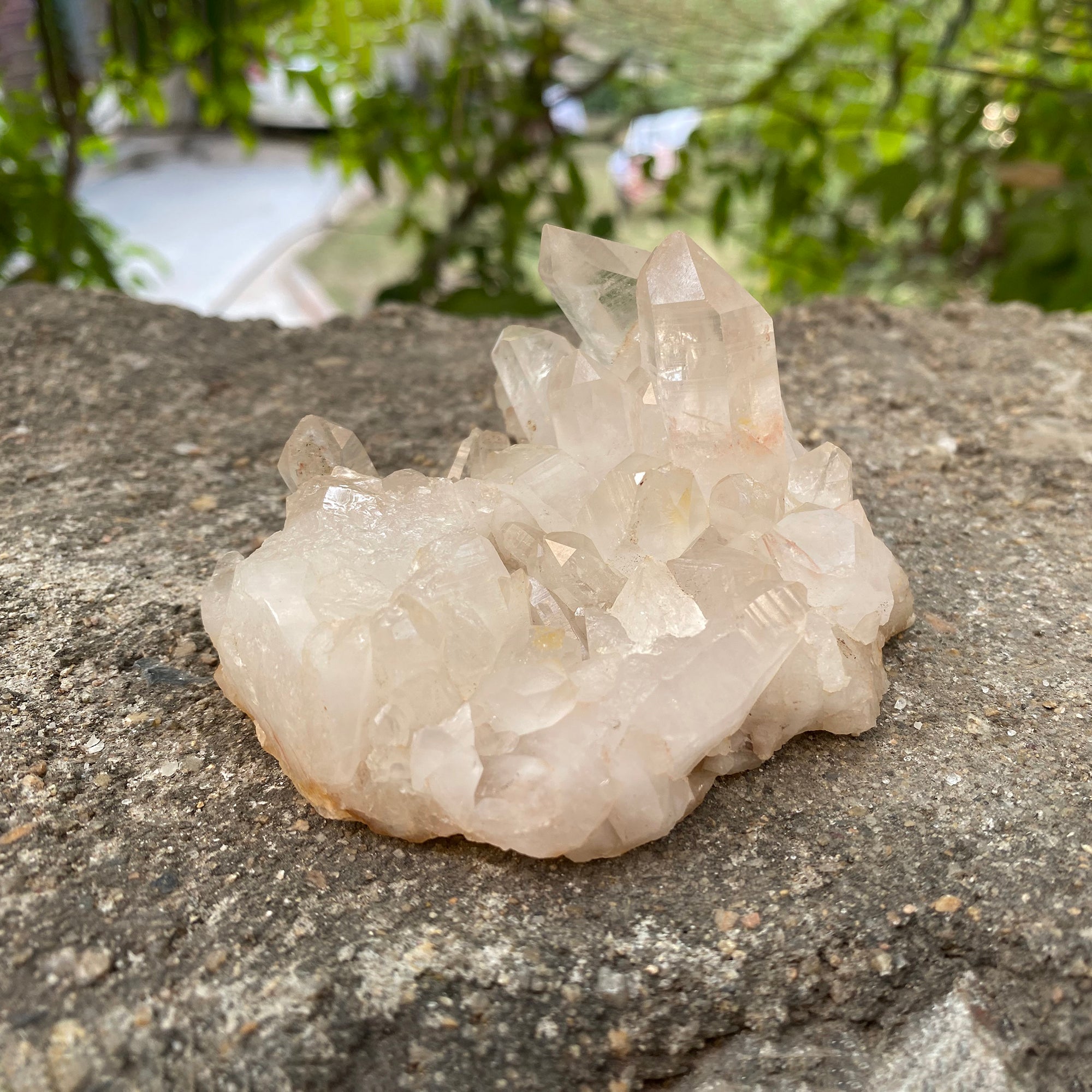 Natural Himalayan Pink Quartz Cluster 260g Healing Crystal