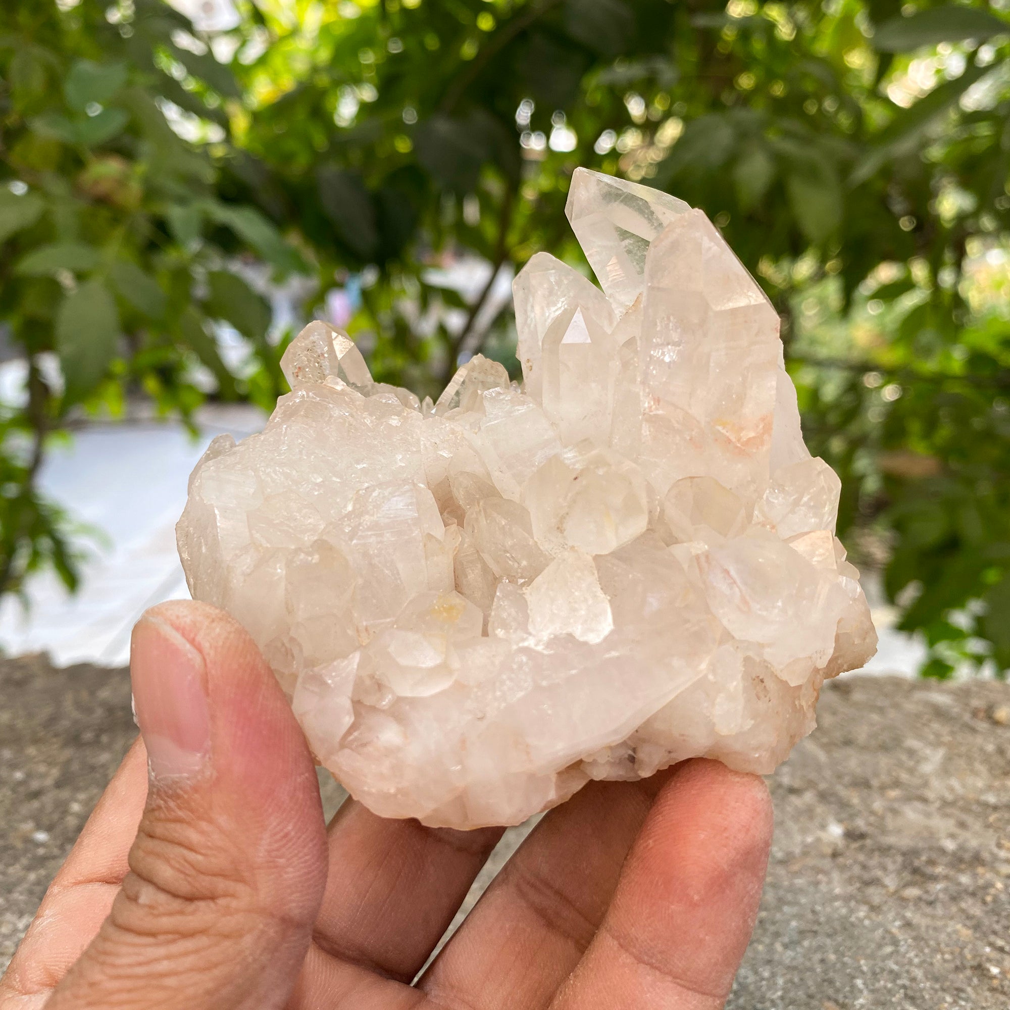 Natural Himalayan Pink Quartz Cluster 260g Healing Crystal