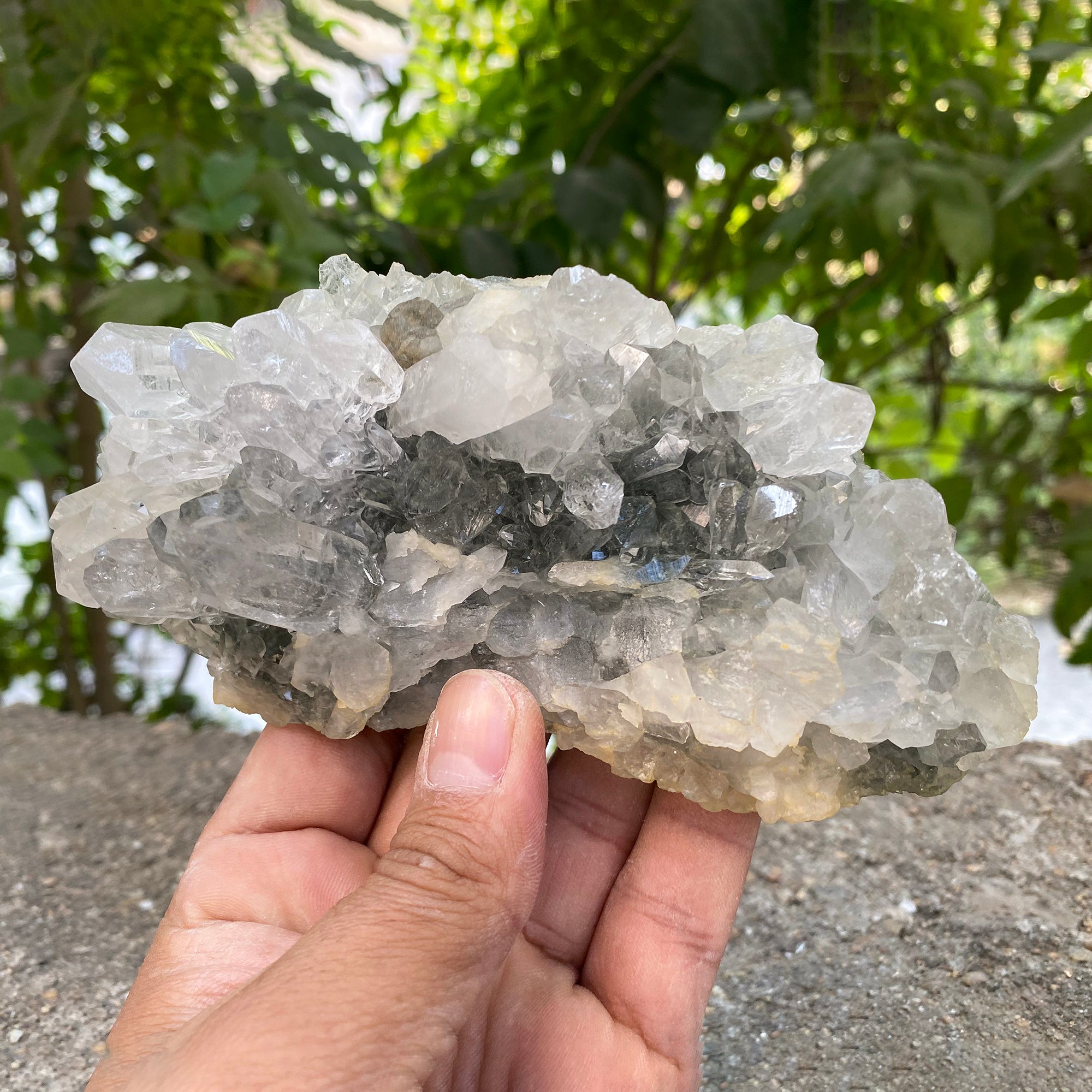 Natural Himalayan Green Chlorite Quartz Cluster 460g Healing Crystal