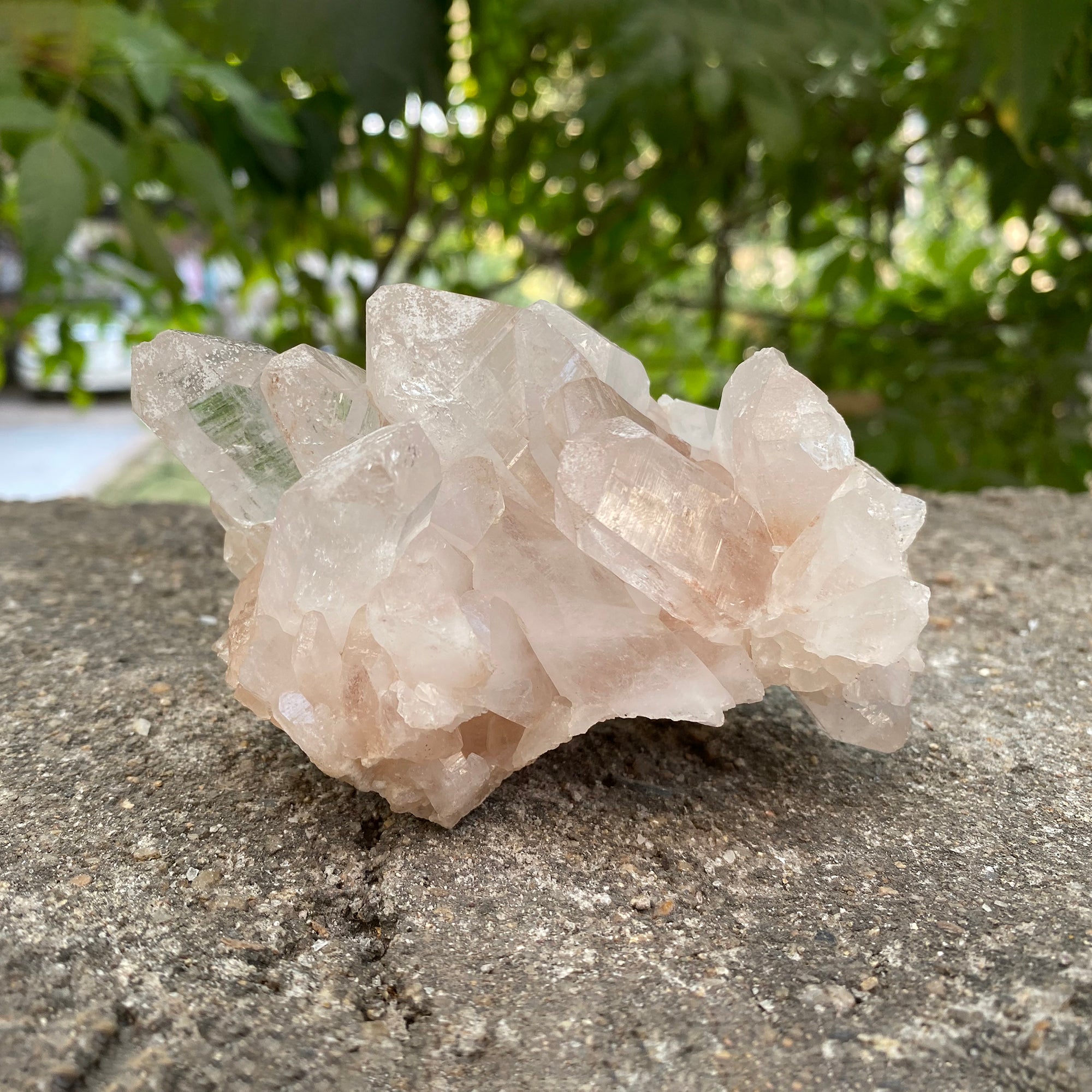 Natural Himalayan Pink Quartz Cluster 460g Healing Crystal