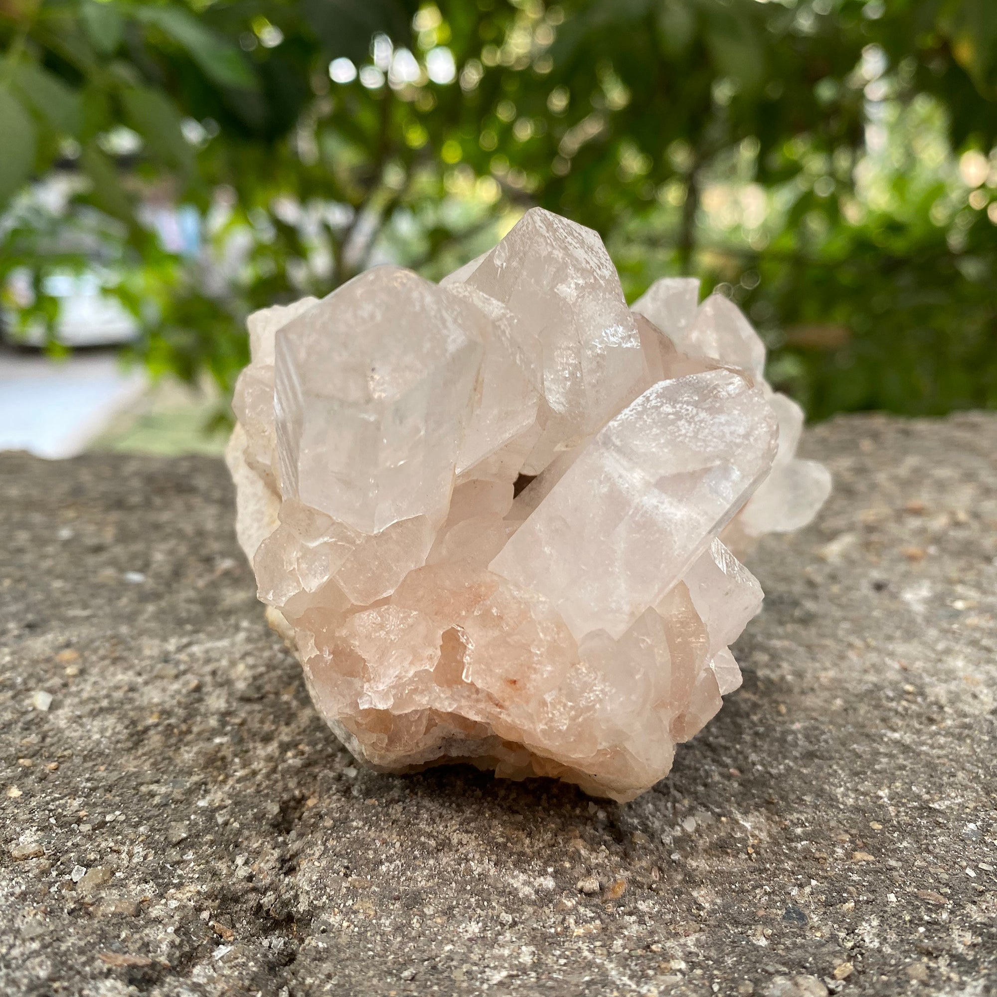 Natural Himalayan Pink Quartz Cluster 460g Healing Crystal