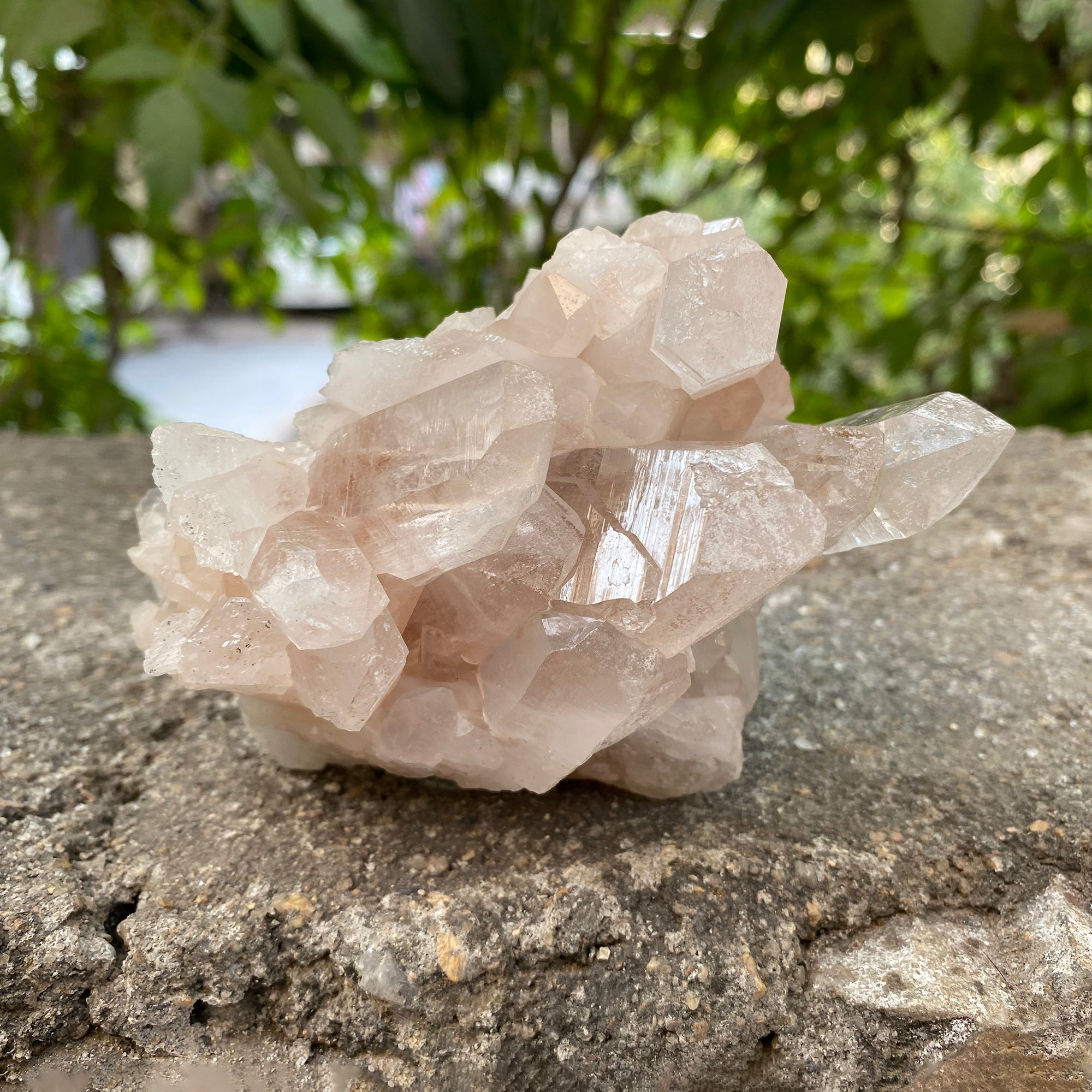 Natural Himalayan Pink Quartz Cluster 460g Healing Crystal