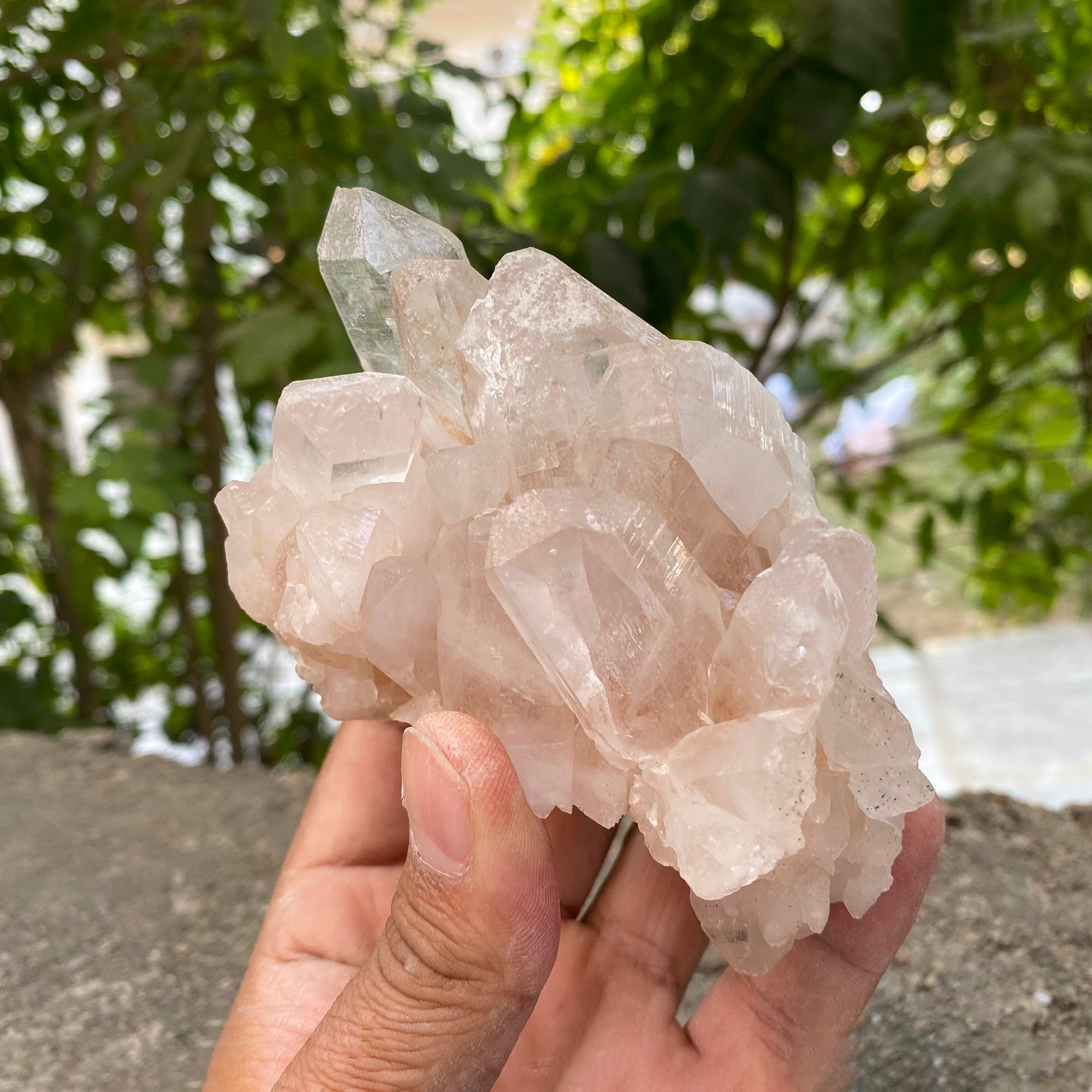 Natural Himalayan Pink Quartz Cluster 460g Healing Crystal