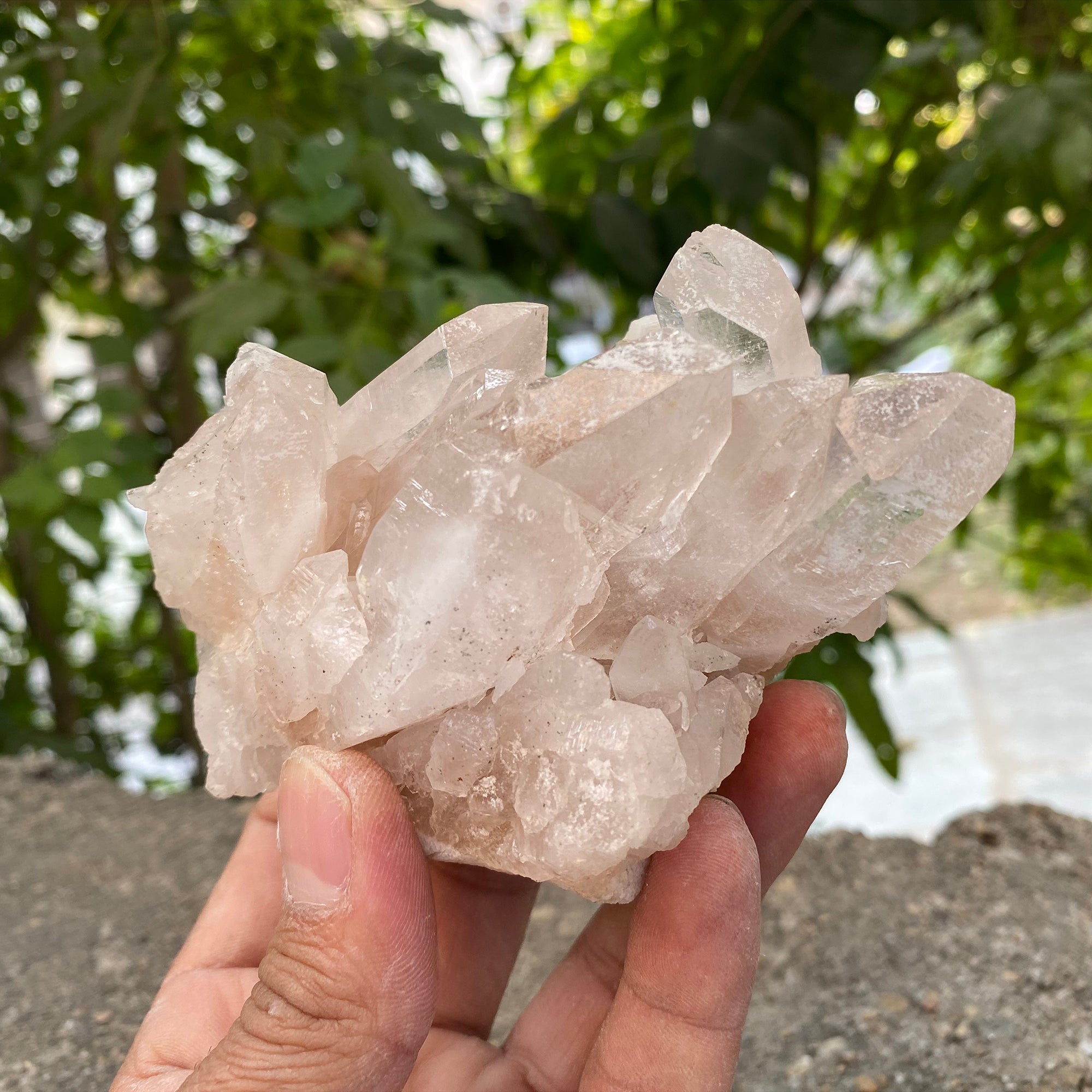 Natural Himalayan Pink Quartz Cluster 460g Healing Crystal