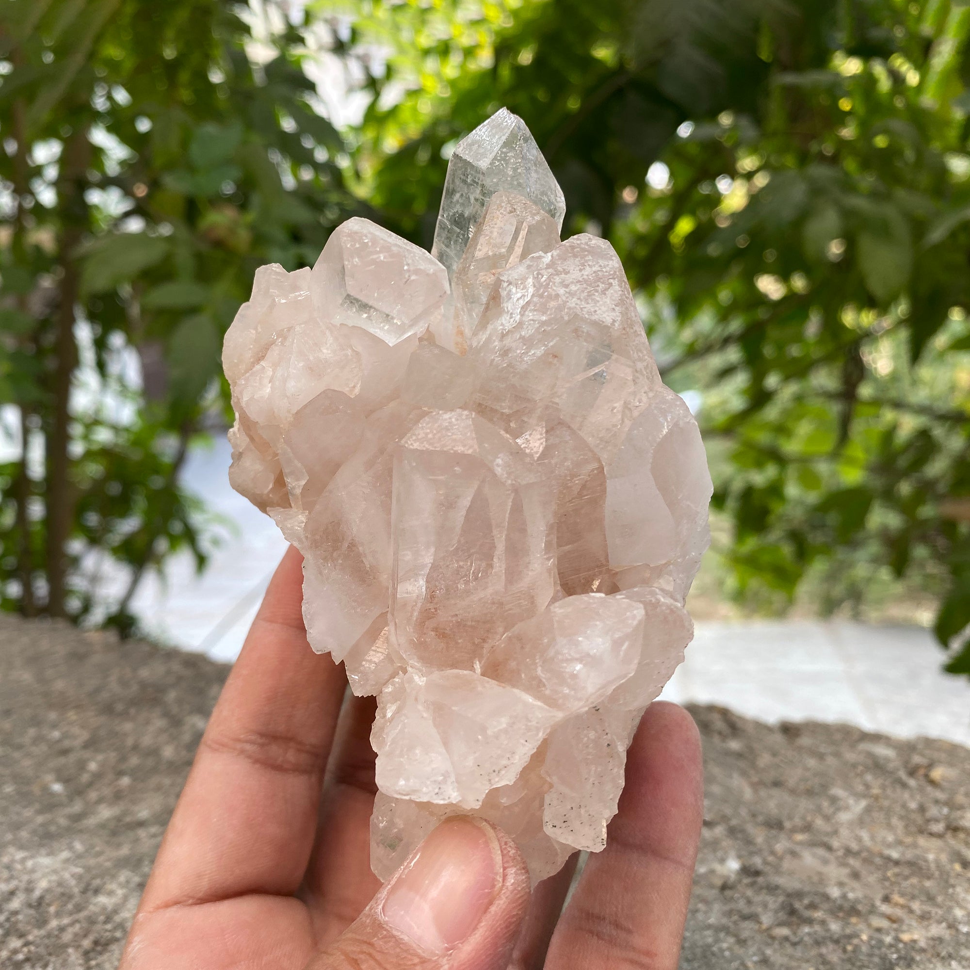 Natural Himalayan Pink Quartz Cluster 460g Healing Crystal
