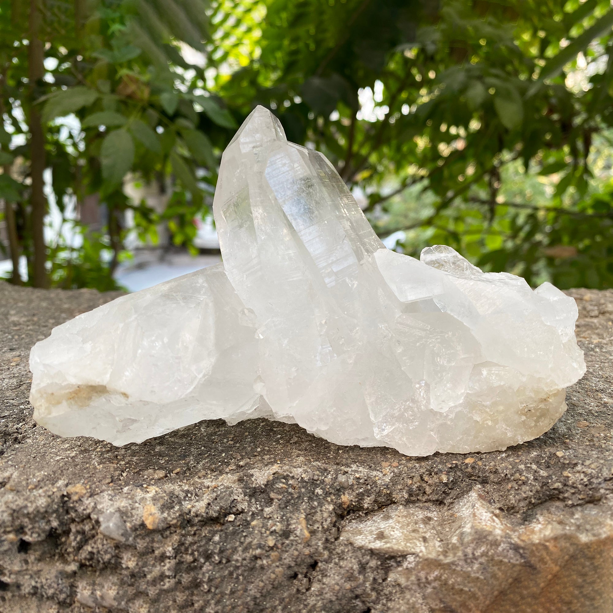 Natural Himalayan White Quartz Cluster 920g Healing Crystal
