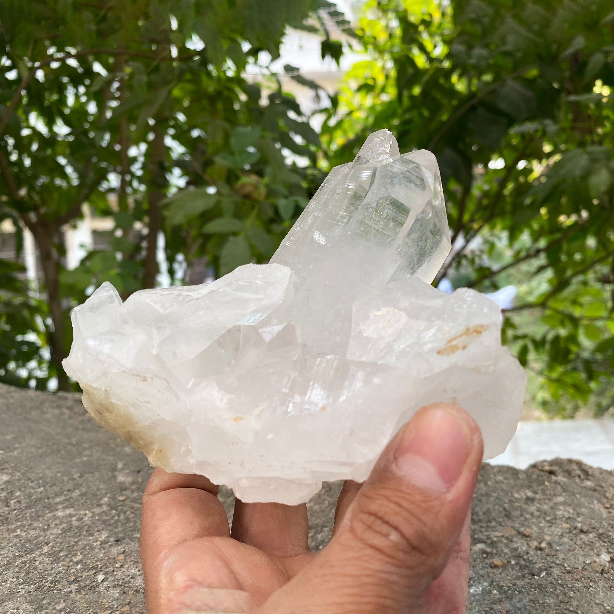 Natural Himalayan White Quartz Cluster 920g Healing Crystal