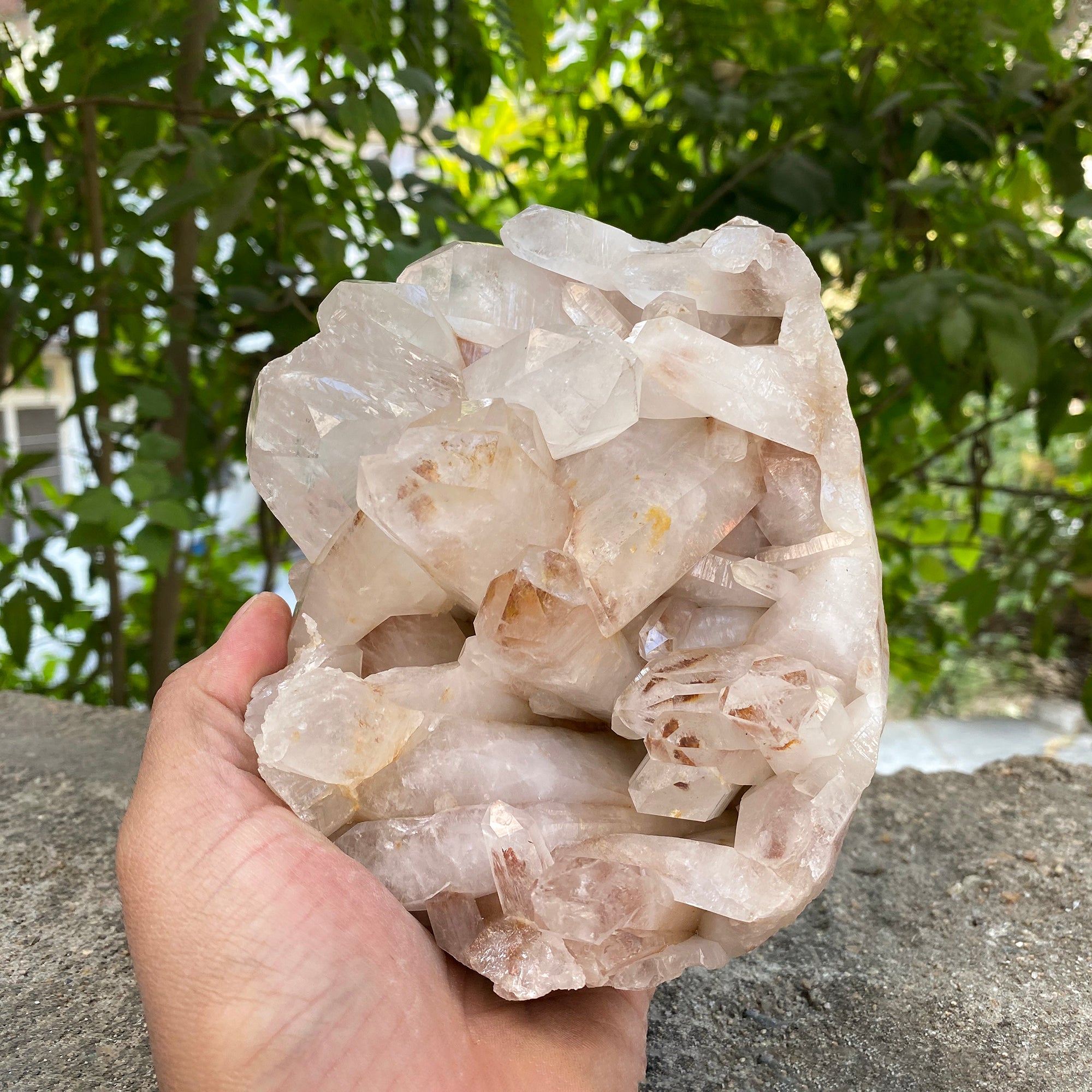 Natural Himalayan Pink Quartz Cluster 2300g Healing Crystal