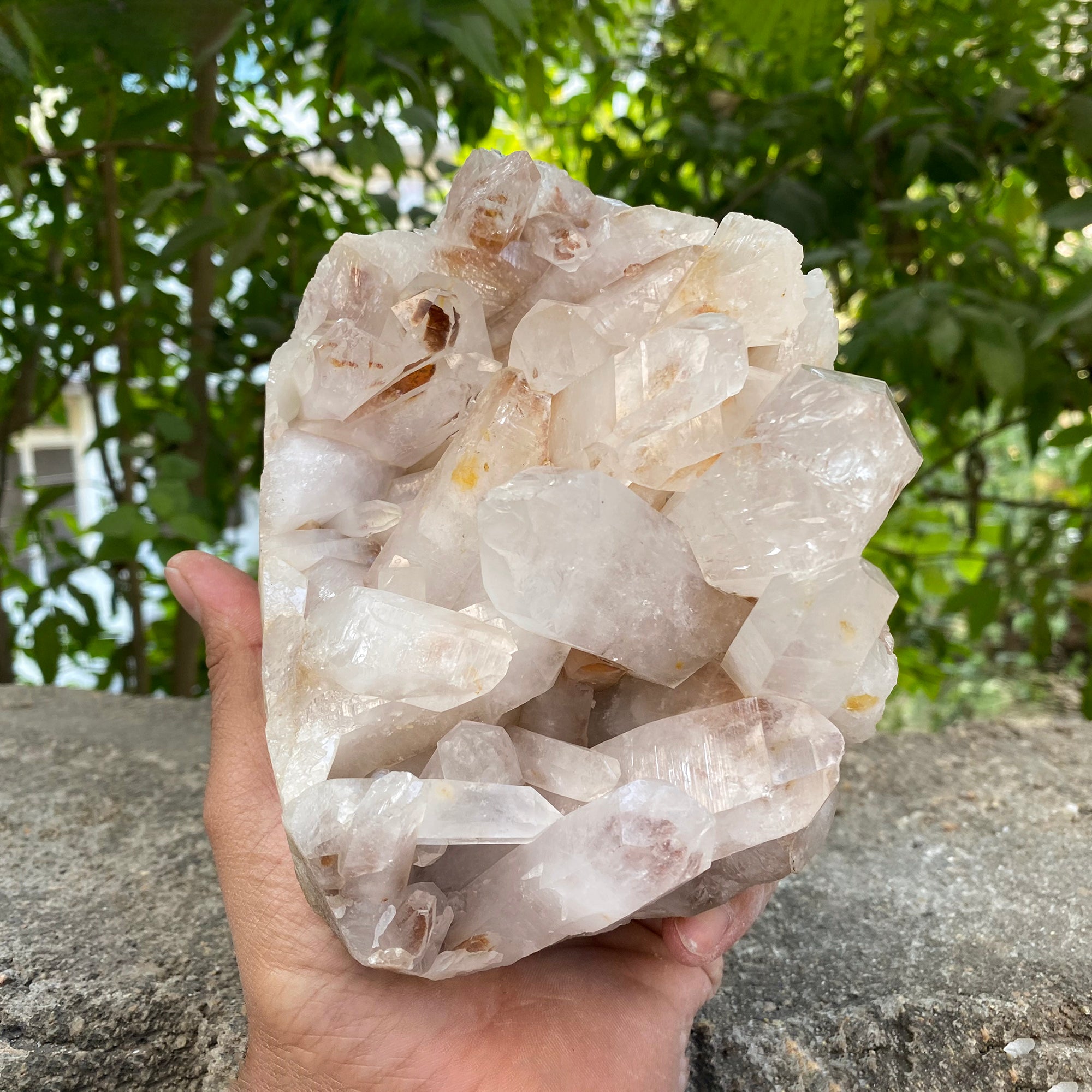 Natural Himalayan Pink Quartz Cluster 2300g Healing Crystal
