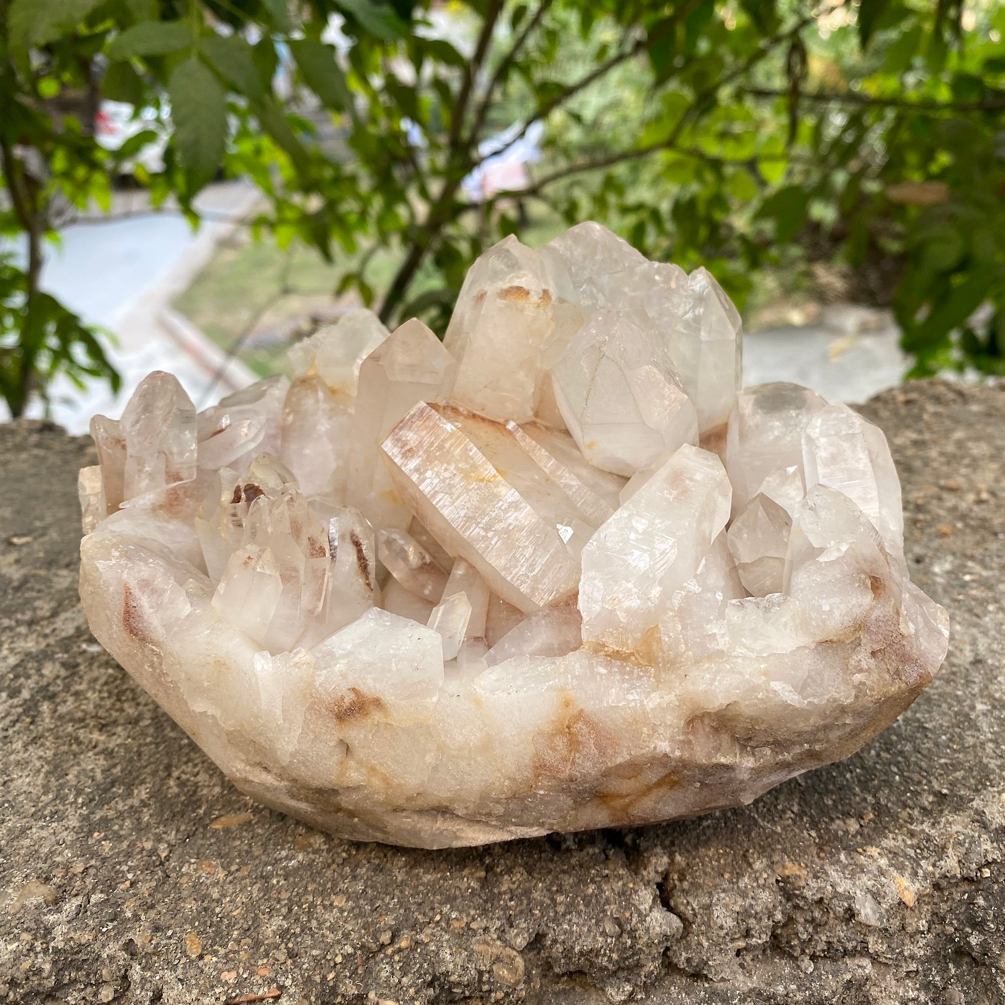 Natural Himalayan Pink Quartz Cluster 2300g Healing Crystal