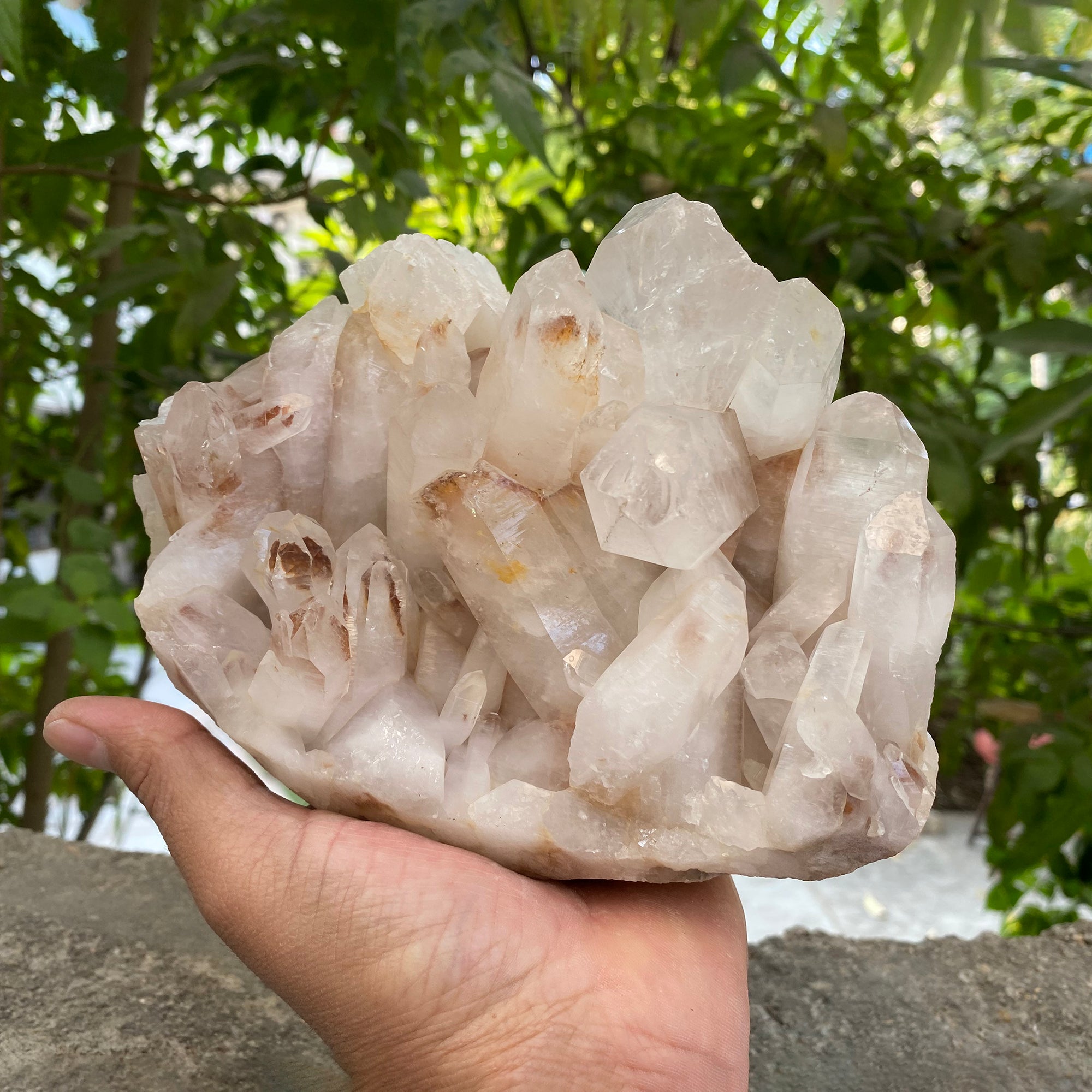 Natural Himalayan Pink Quartz Cluster 2300g Healing Crystal