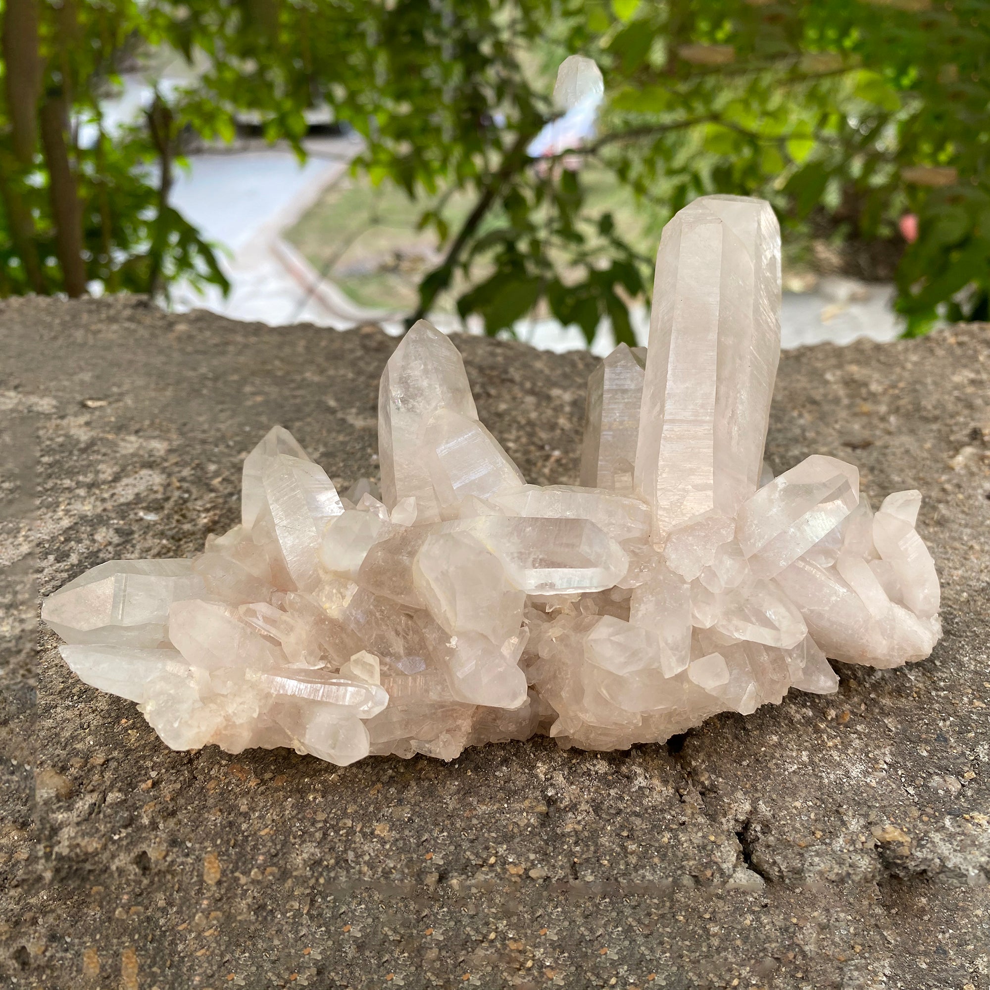 Natural Himalayan White Quartz Cluster 655g Healing Crystal