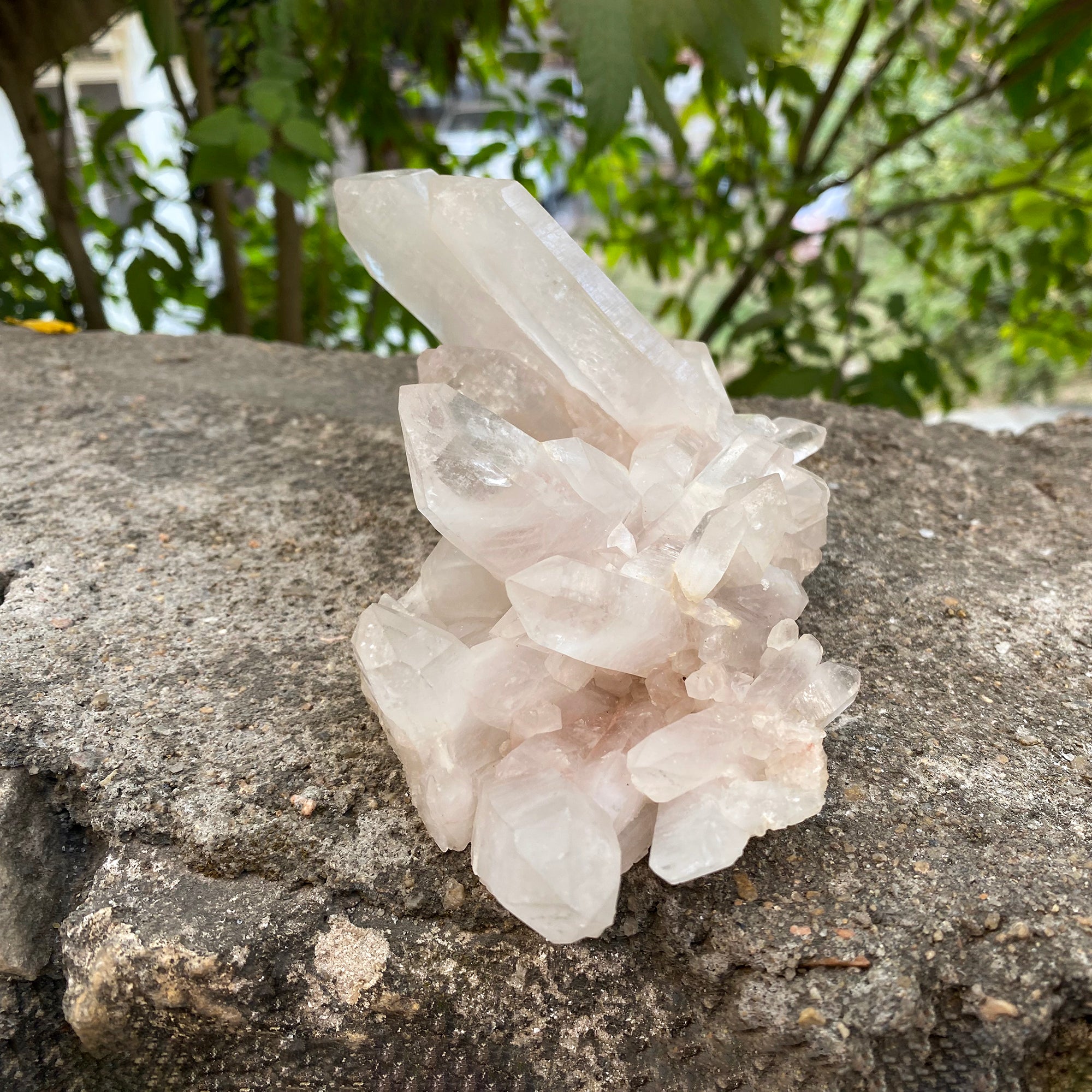 Natural Himalayan White Quartz Cluster 655g Healing Crystal