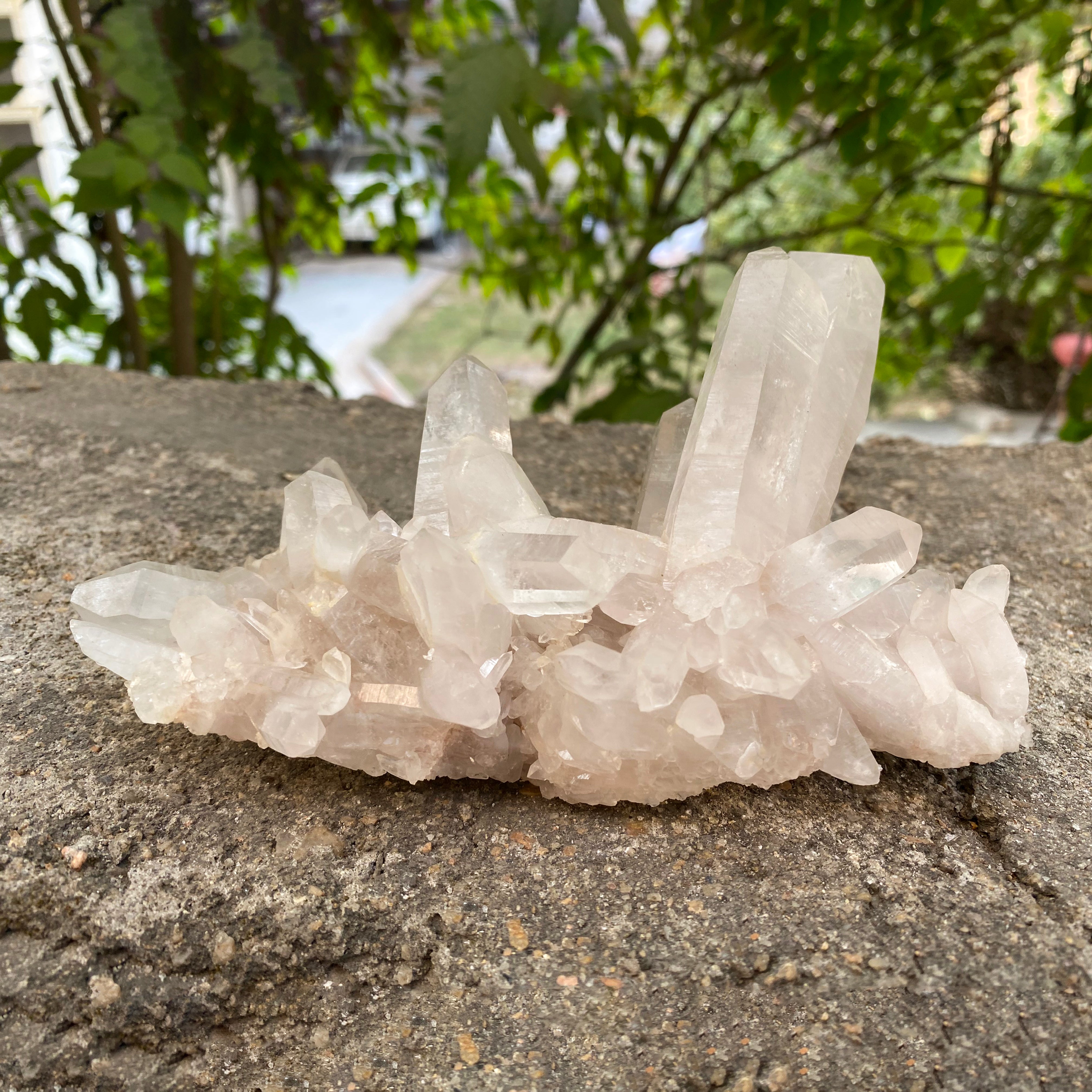 Natural Himalayan White Quartz Cluster 655g Healing Crystal