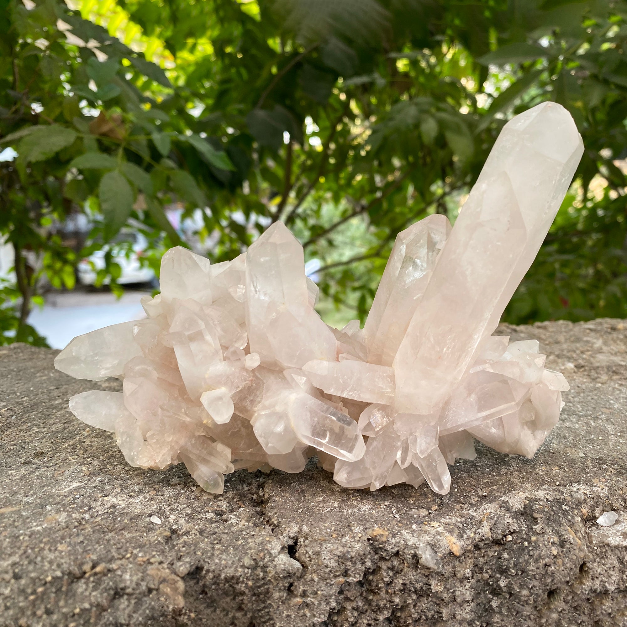Natural Himalayan White Quartz Cluster 655g Healing Crystal