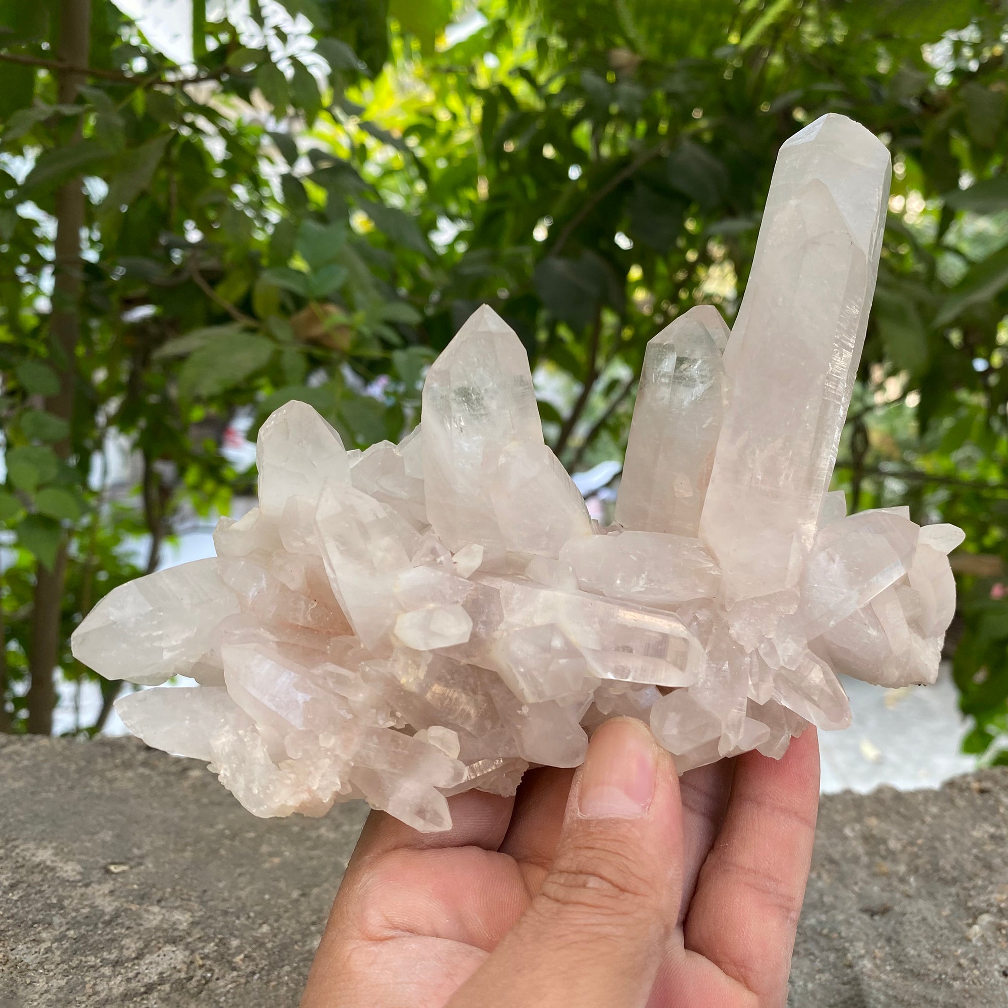 Natural Himalayan White Quartz Cluster 655g Healing Crystal