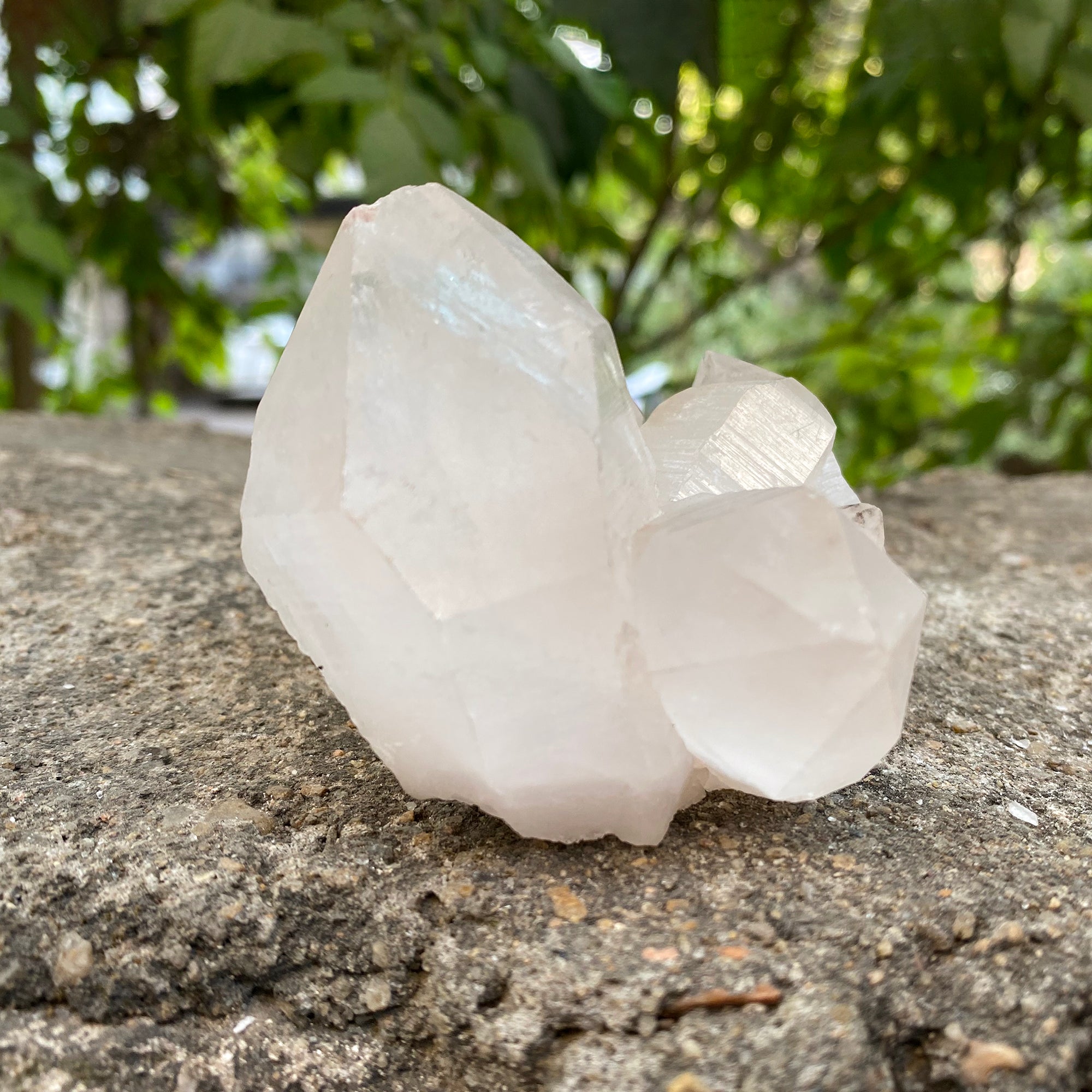 Natural Himalayan White Quartz Cluster 265g Healing Crystal