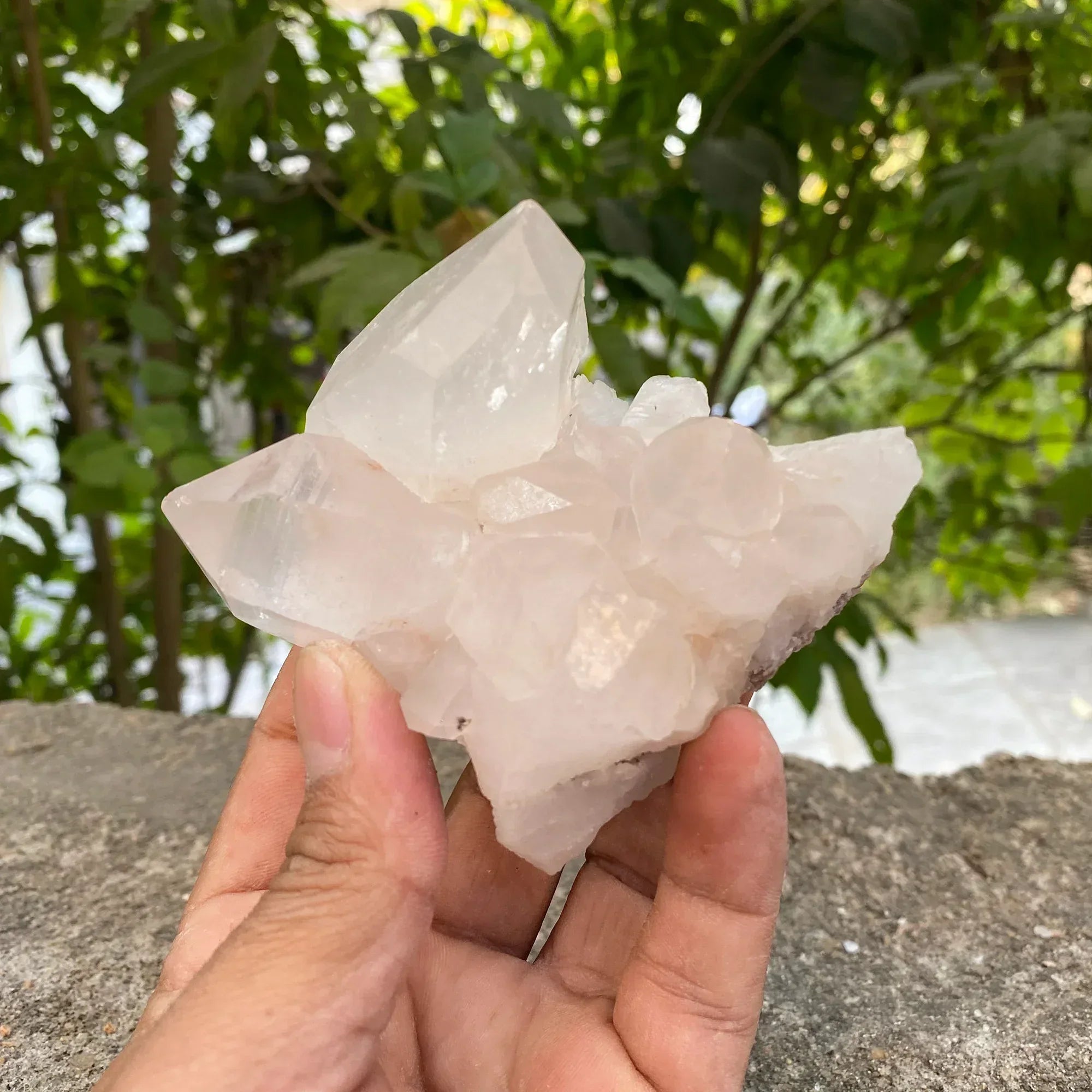 Natural Himalayan White Quartz Cluster 265g Healing Crystal Himalayan Quartz