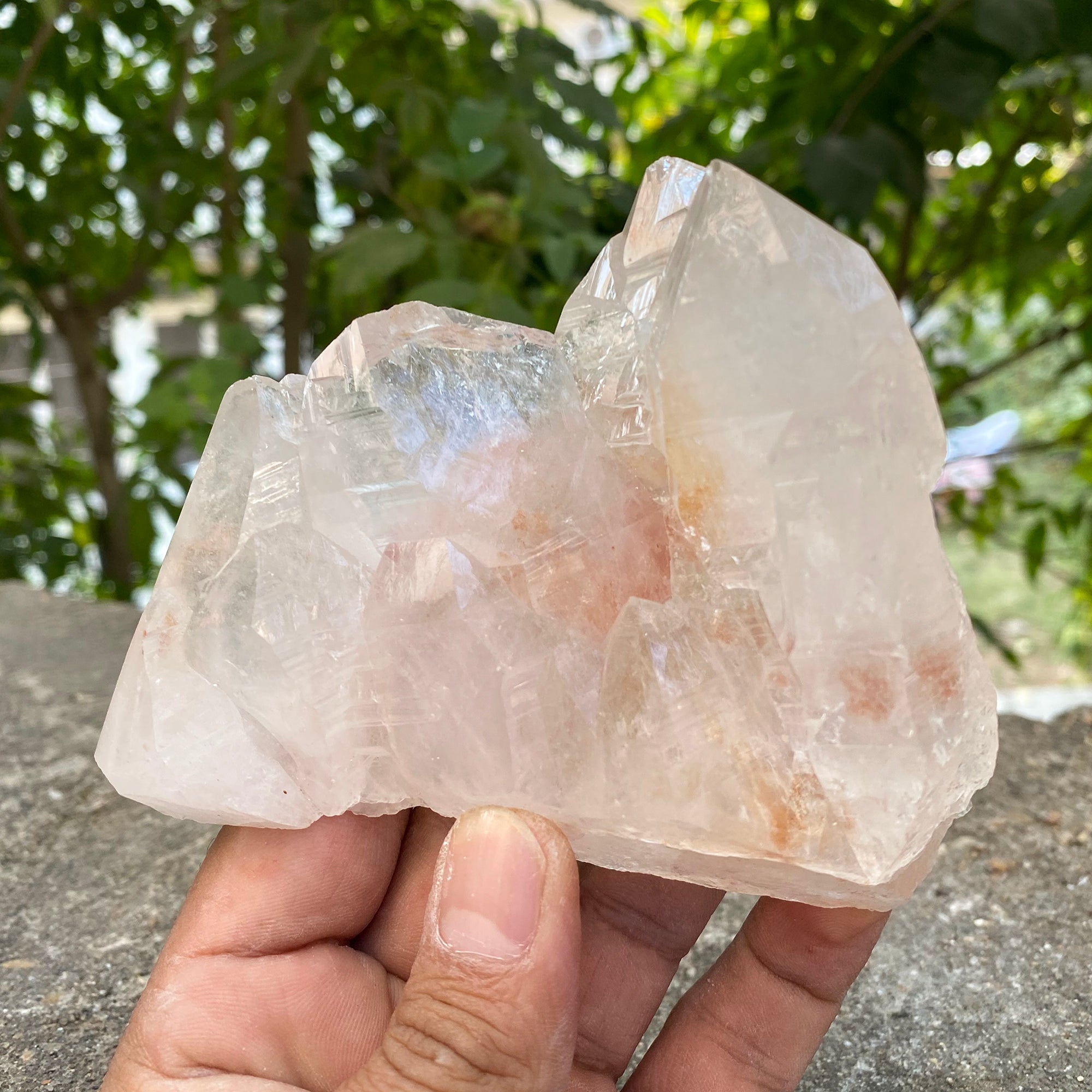 Natural Himalayan Pink Quartz Cluster 315g Healing Crystal