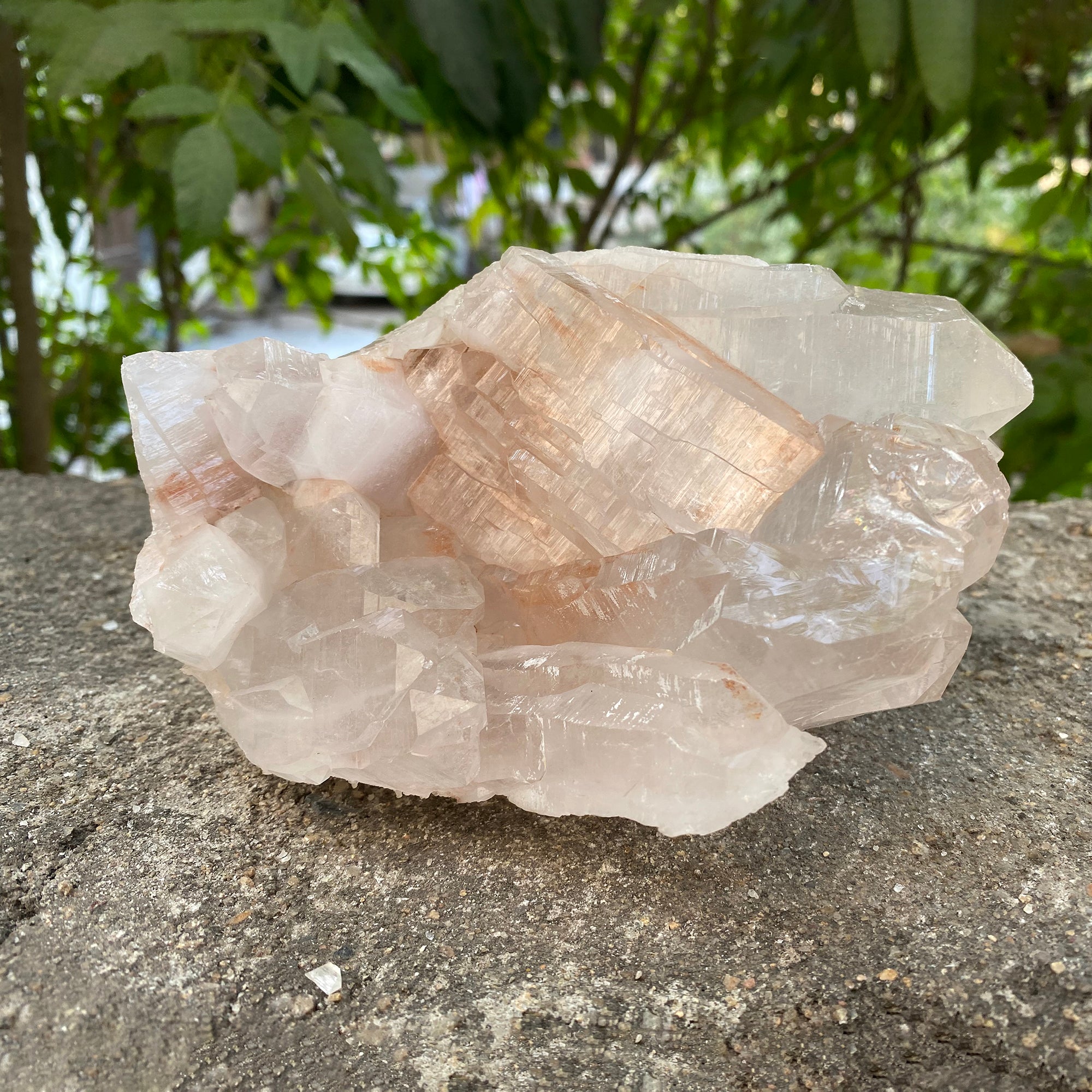 Natural Himalayan Pink Quartz Cluster 1520g Healing Crystal