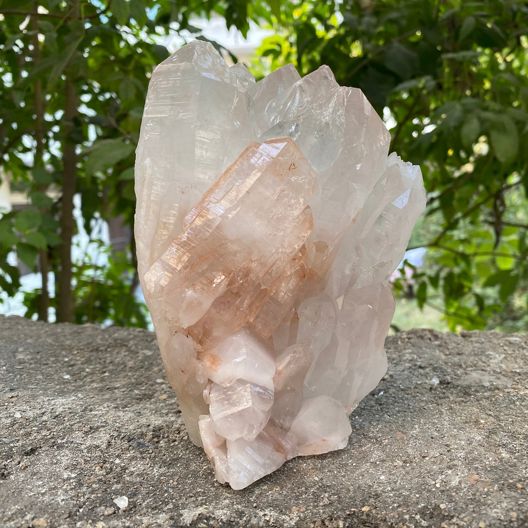Natural Himalayan Pink Quartz Cluster 1520g Healing Crystal