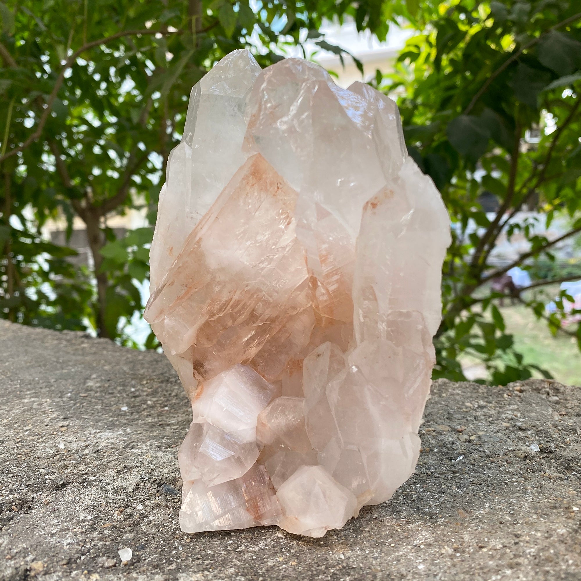 Natural Himalayan Pink Quartz Cluster 1520g Healing Crystal