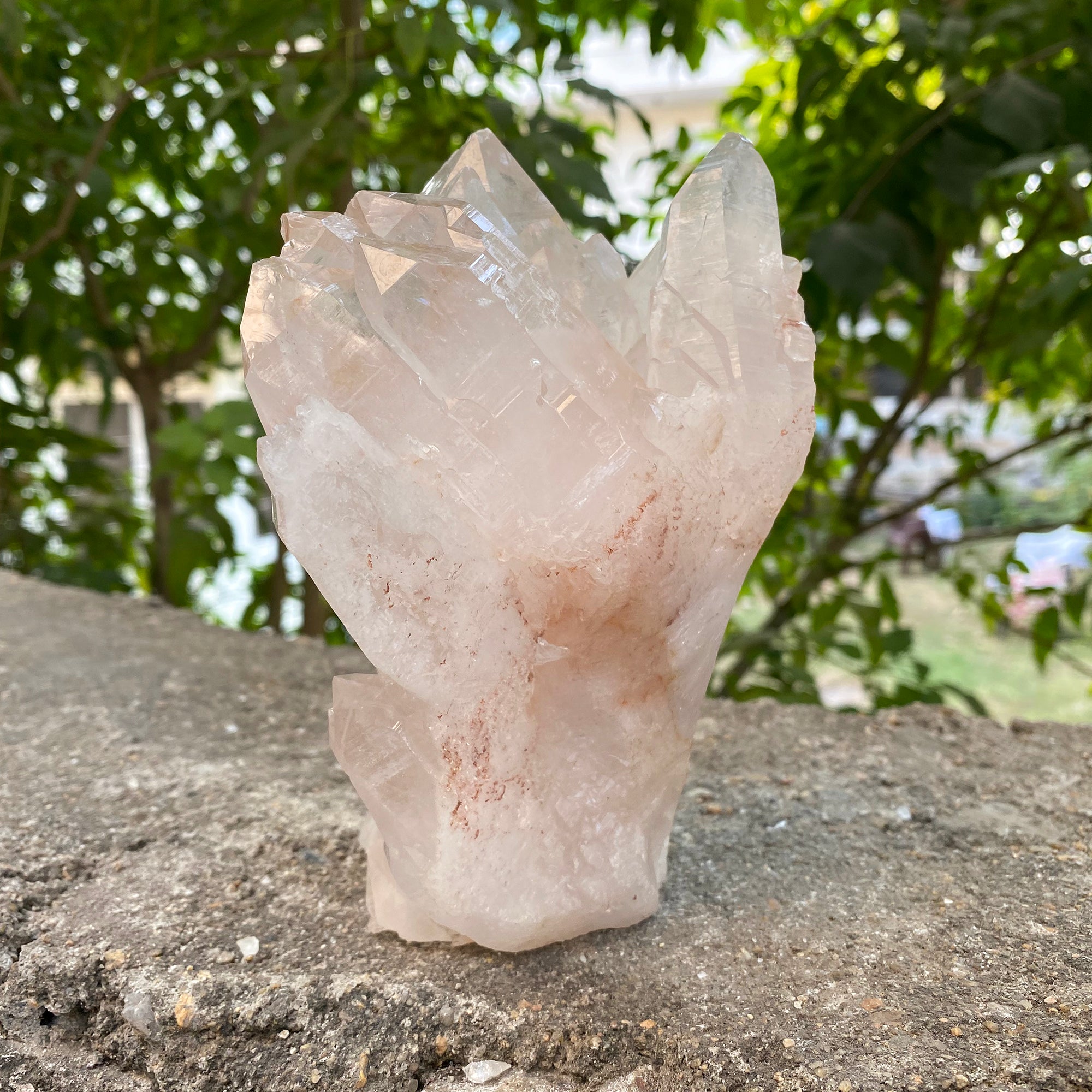 Natural Himalayan Pink Quartz Cluster 1520g Healing Crystal