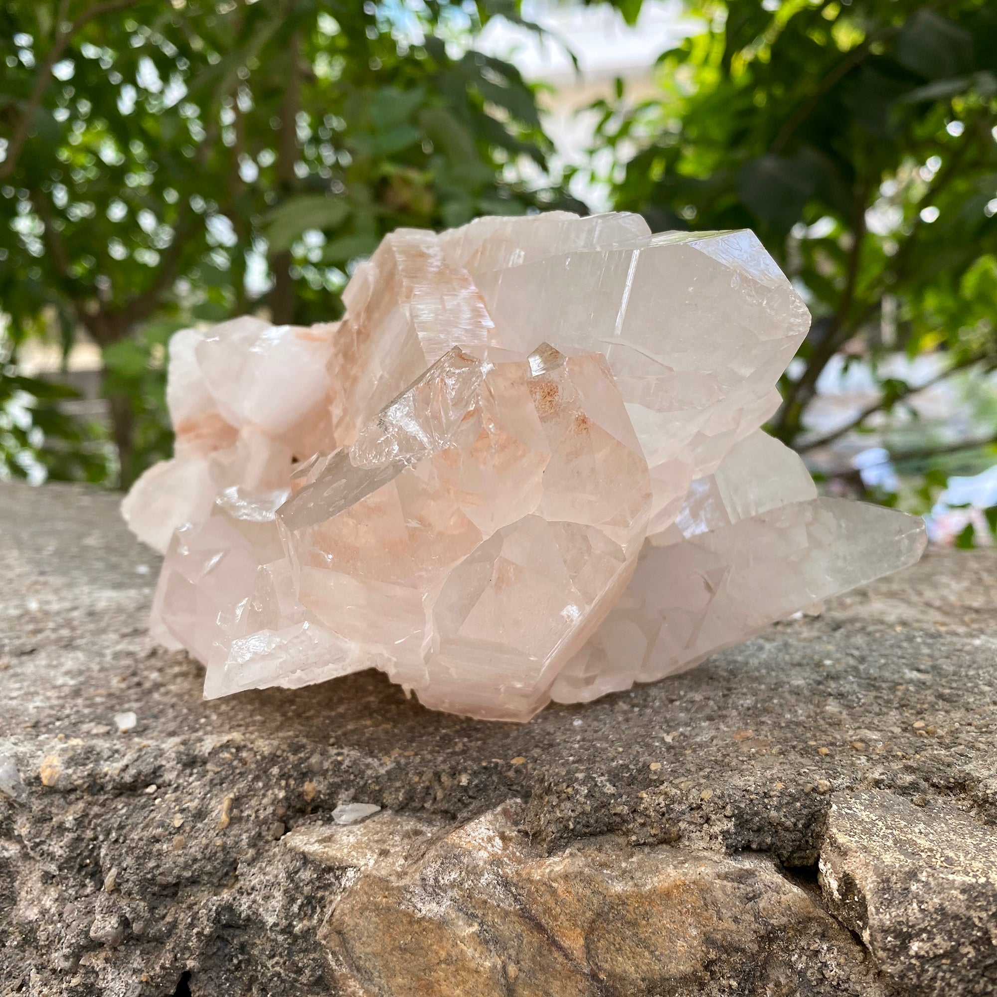 Natural Himalayan Pink Quartz Cluster 1520g Healing Crystal
