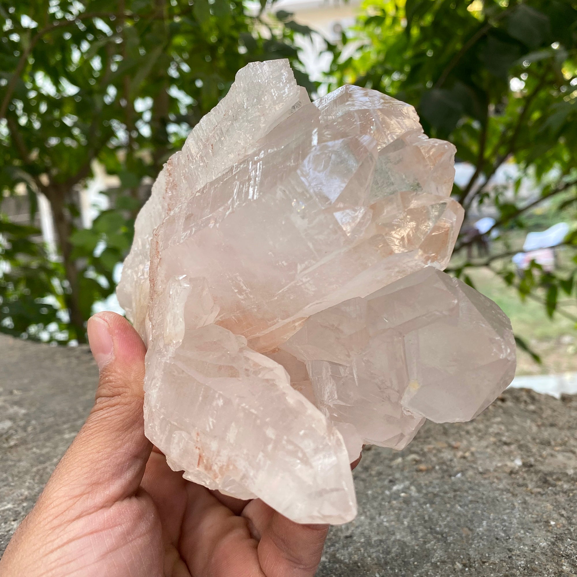 Natural Himalayan Pink Quartz Cluster 1520g Healing Crystal