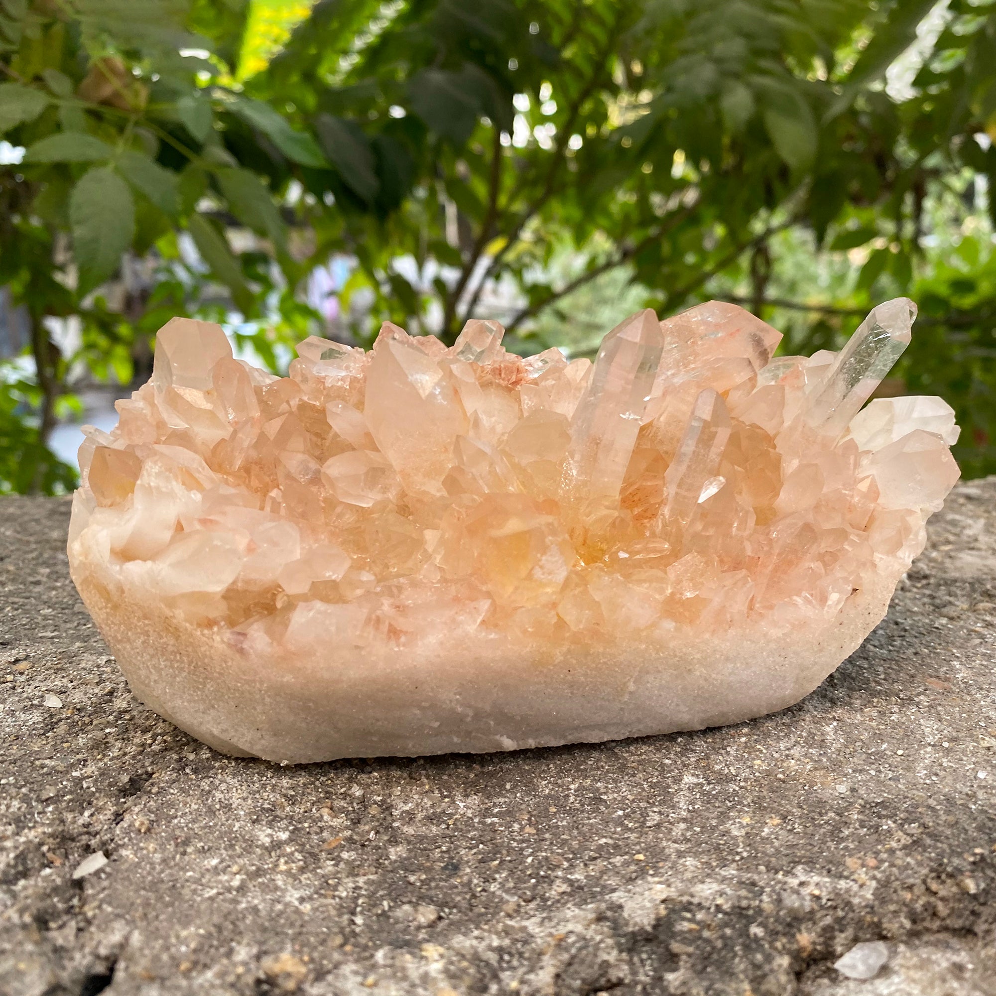 Natural Himalayan Pink Quartz Cluster 910g Healing Crystal PNQ-1006