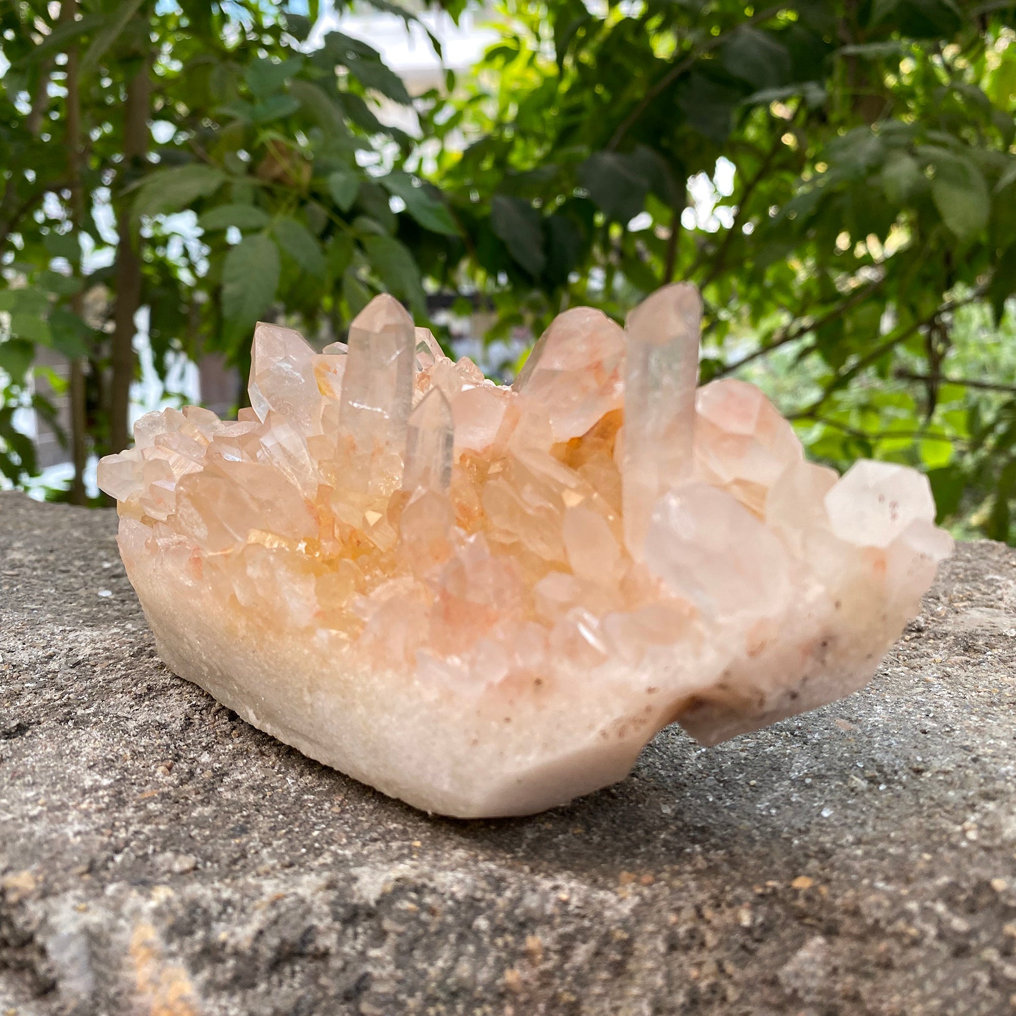 Natural Himalayan Pink Quartz Cluster 910g Healing Crystal PNQ-1006