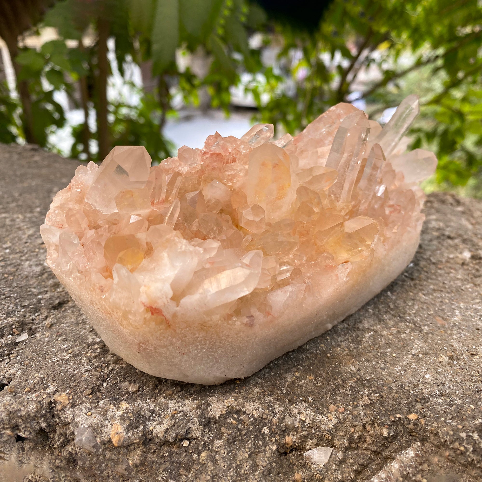 Natural Himalayan Pink Quartz Cluster 910g Healing Crystal PNQ-1006