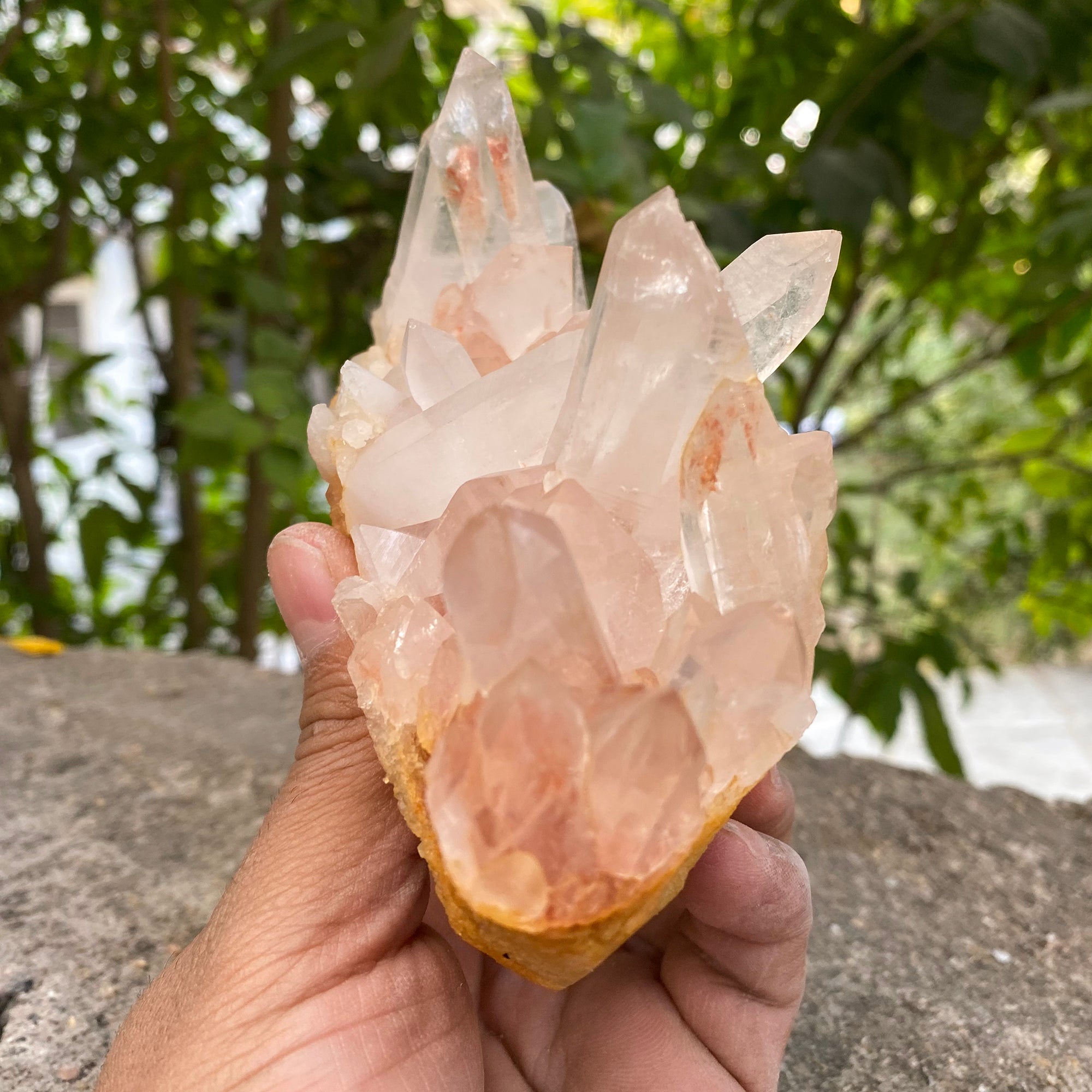 Natural Himalayan Pink Quartz Cluster 675g Healing Crystal PNQ-1009
