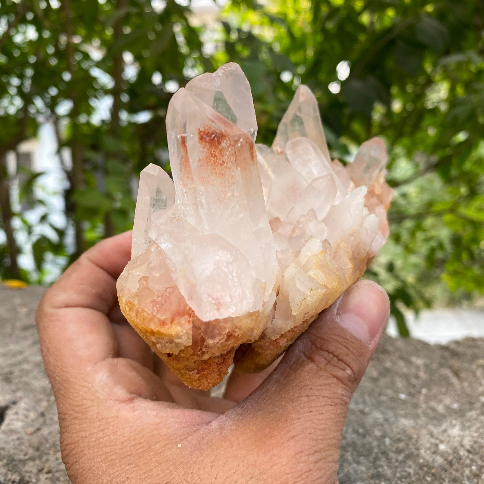Natural Himalayan Pink Quartz Cluster 675g Healing Crystal PNQ-1009