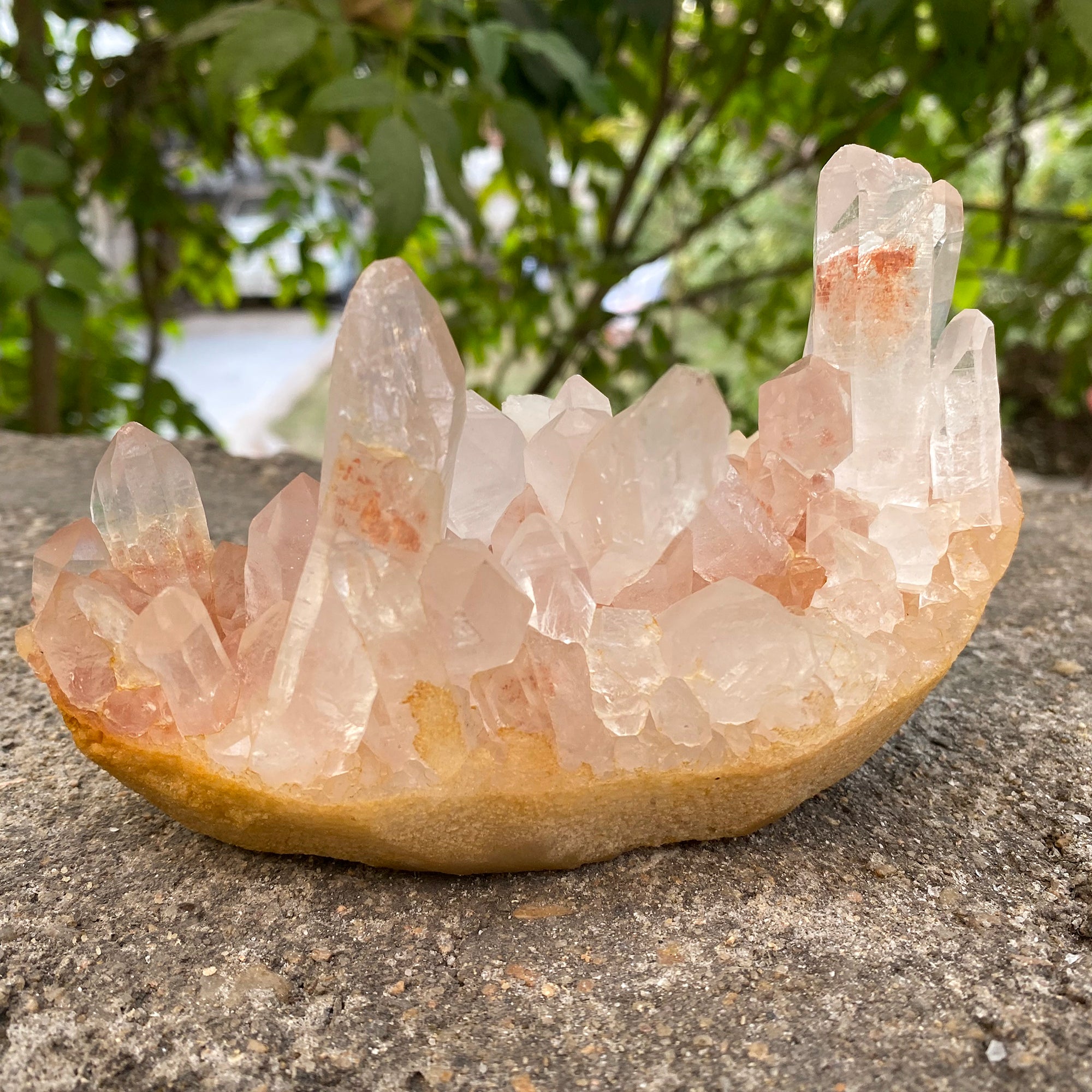 Natural Himalayan Pink Quartz Cluster 675g Healing Crystal PNQ-1009