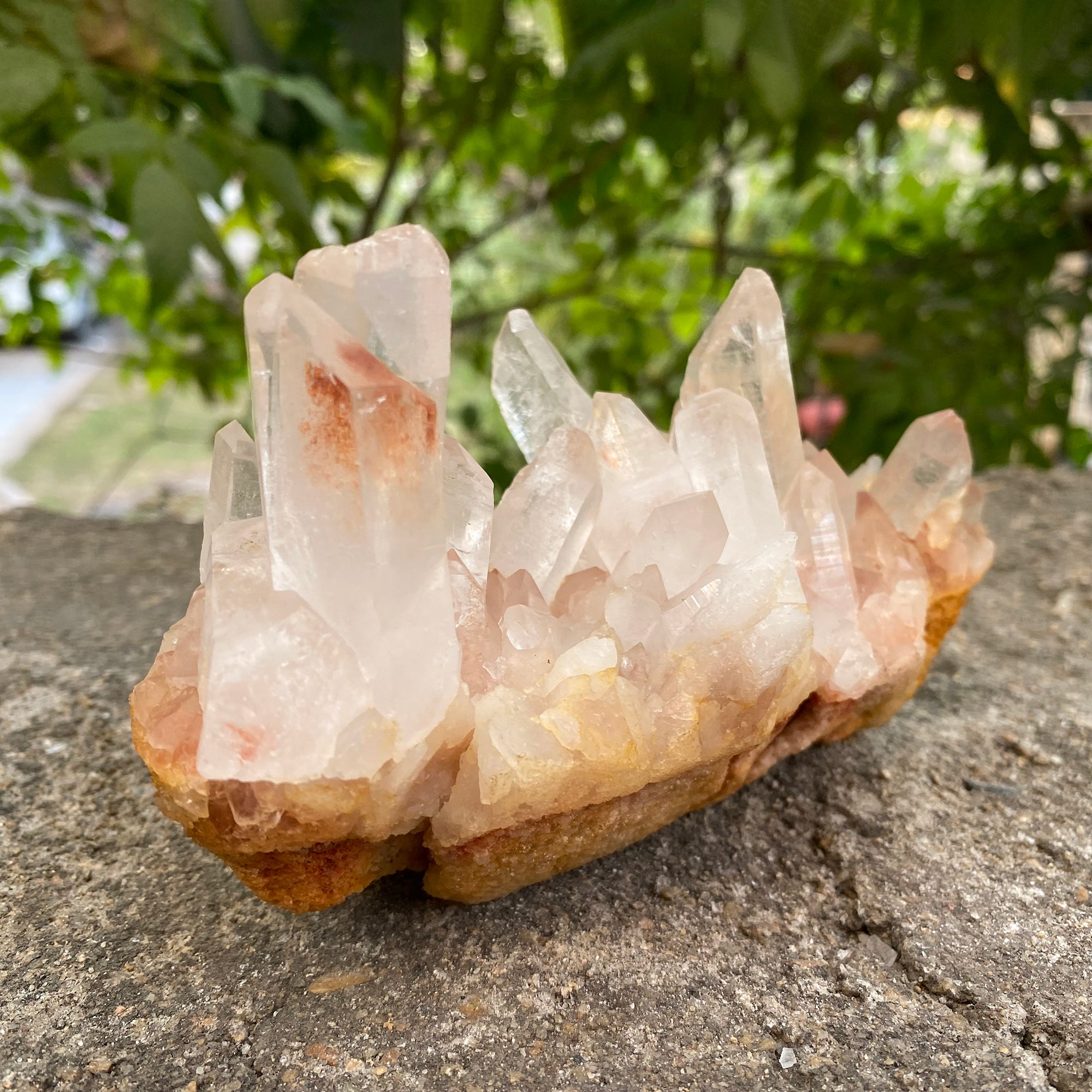 Natural Himalayan Pink Quartz Cluster 675g Healing Crystal PNQ-1009