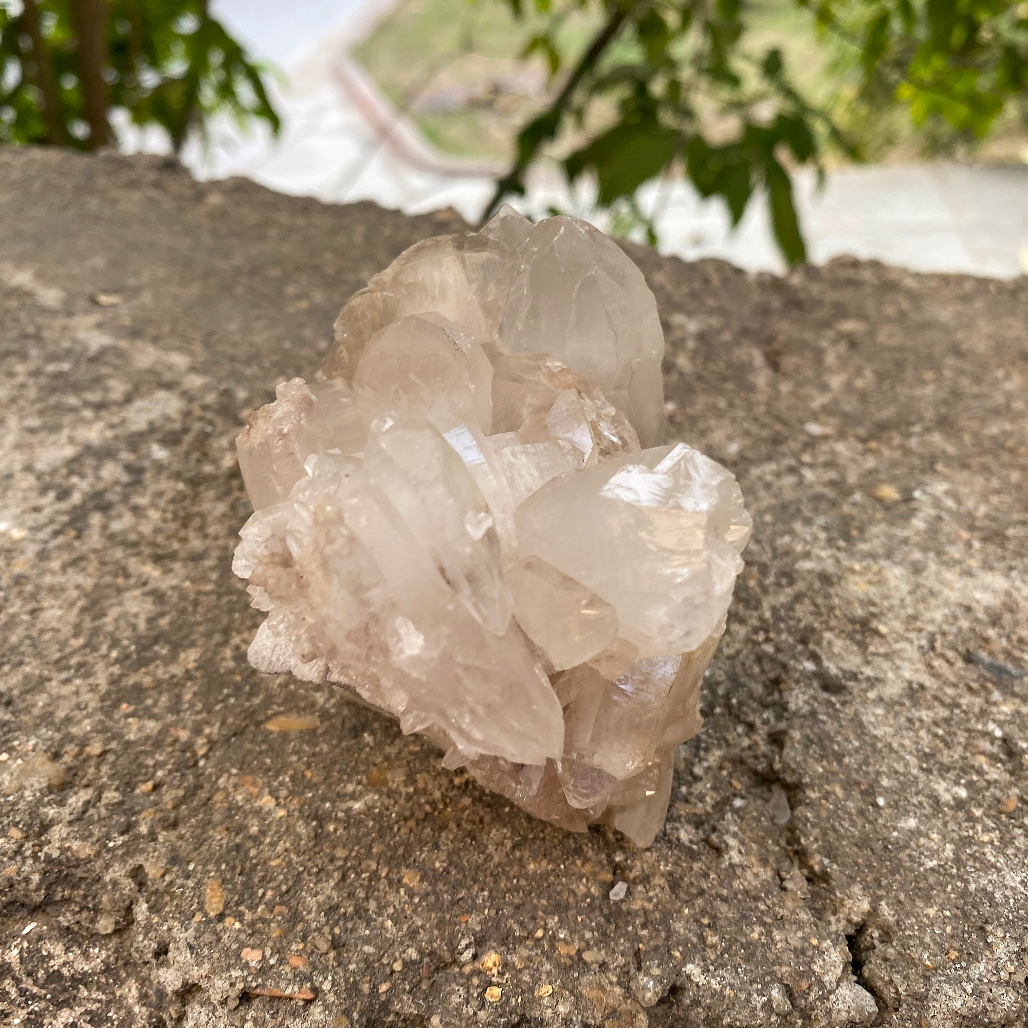 Natural Himalayan White Quartz Cluster 420g Healing Crystal
