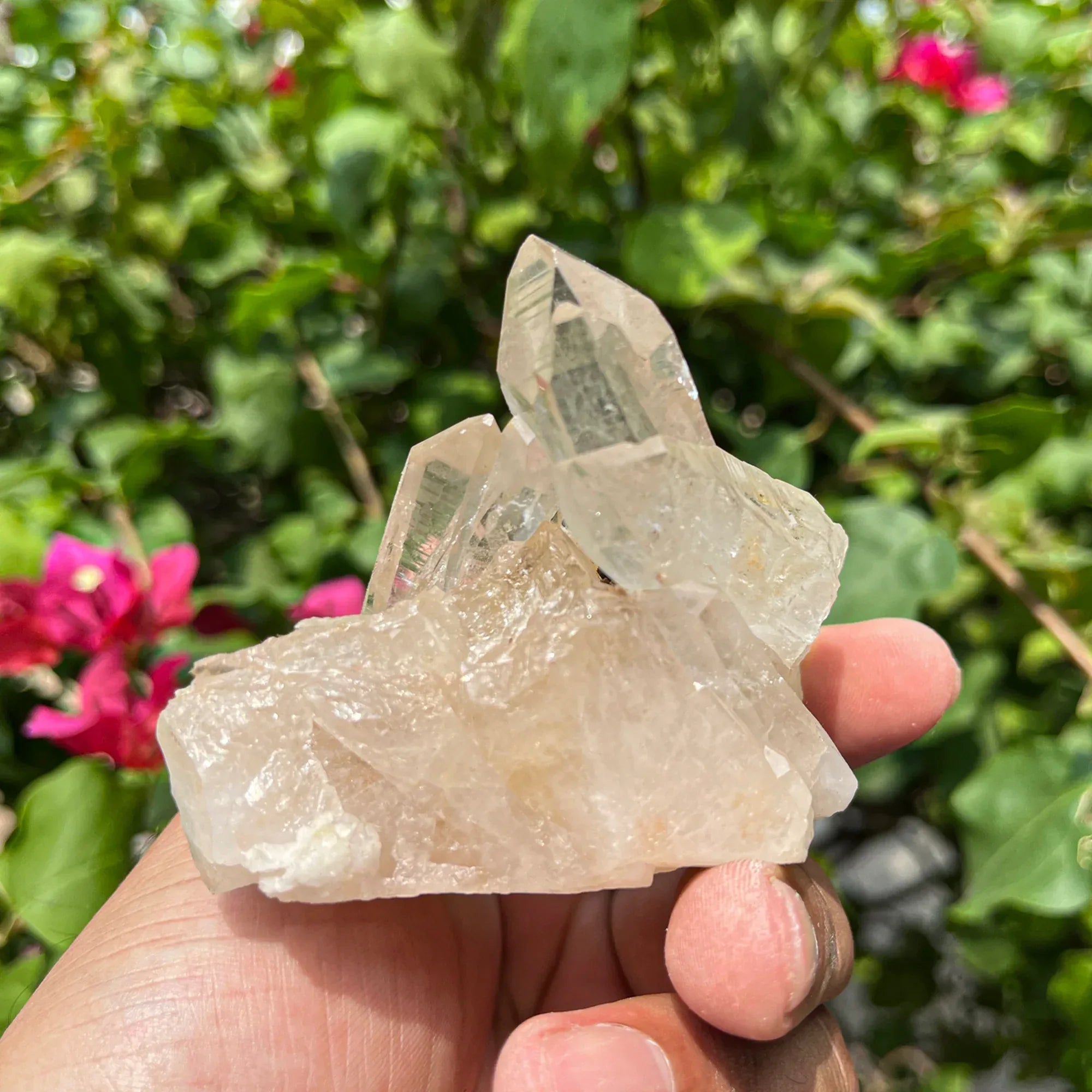 Natural Himalayan White Quartz Cluster 205g Himalayan Quartz