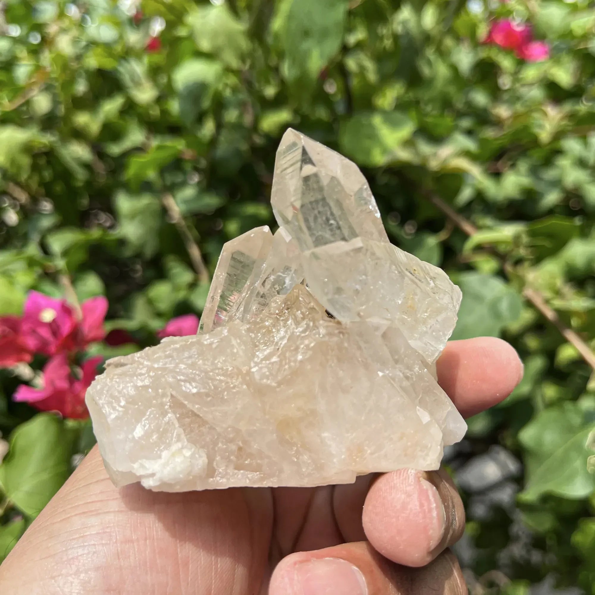Natural Himalayan White Quartz Cluster 205g Himalayan Quartz