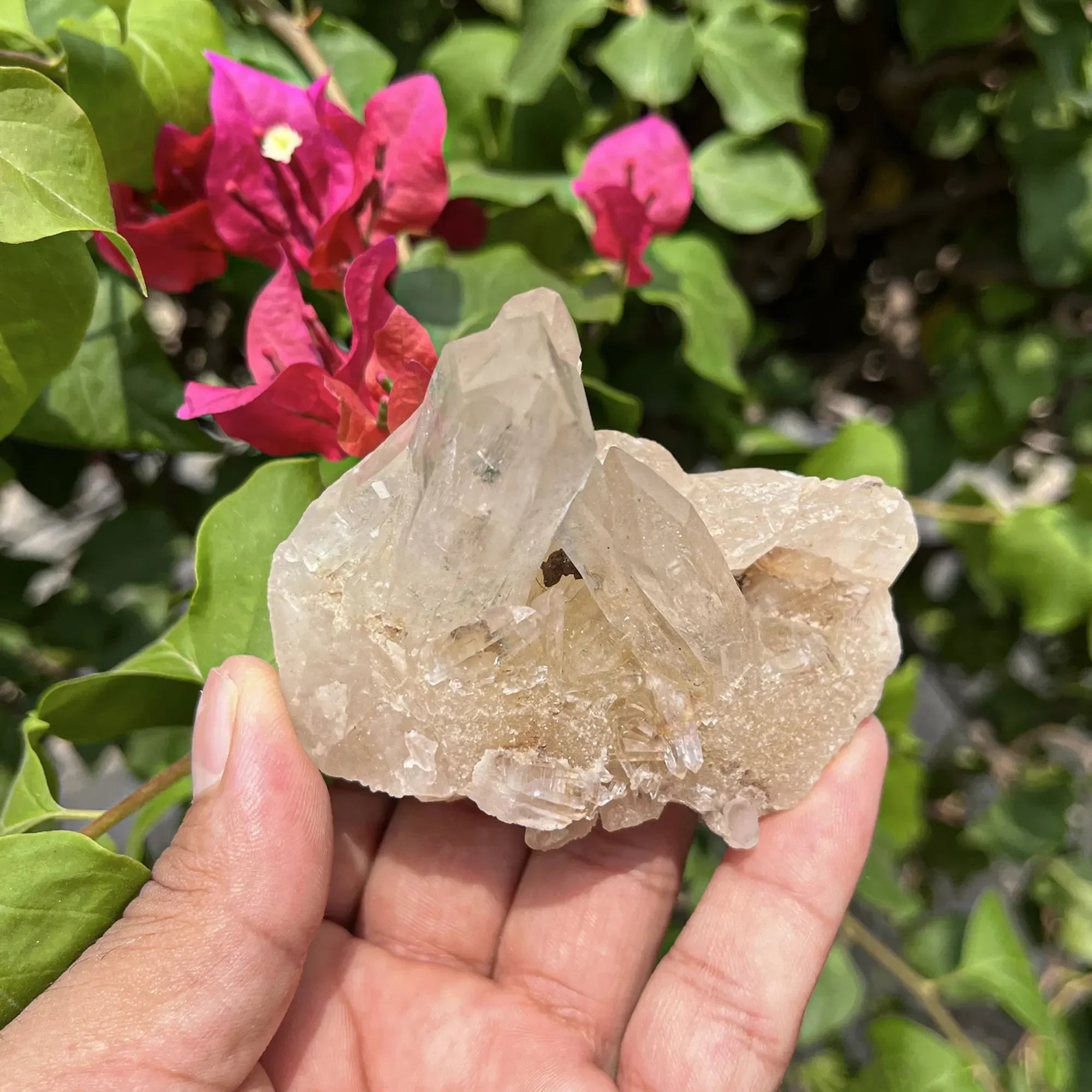 Natural Himalayan White Quartz Cluster 205g Himalayan Quartz