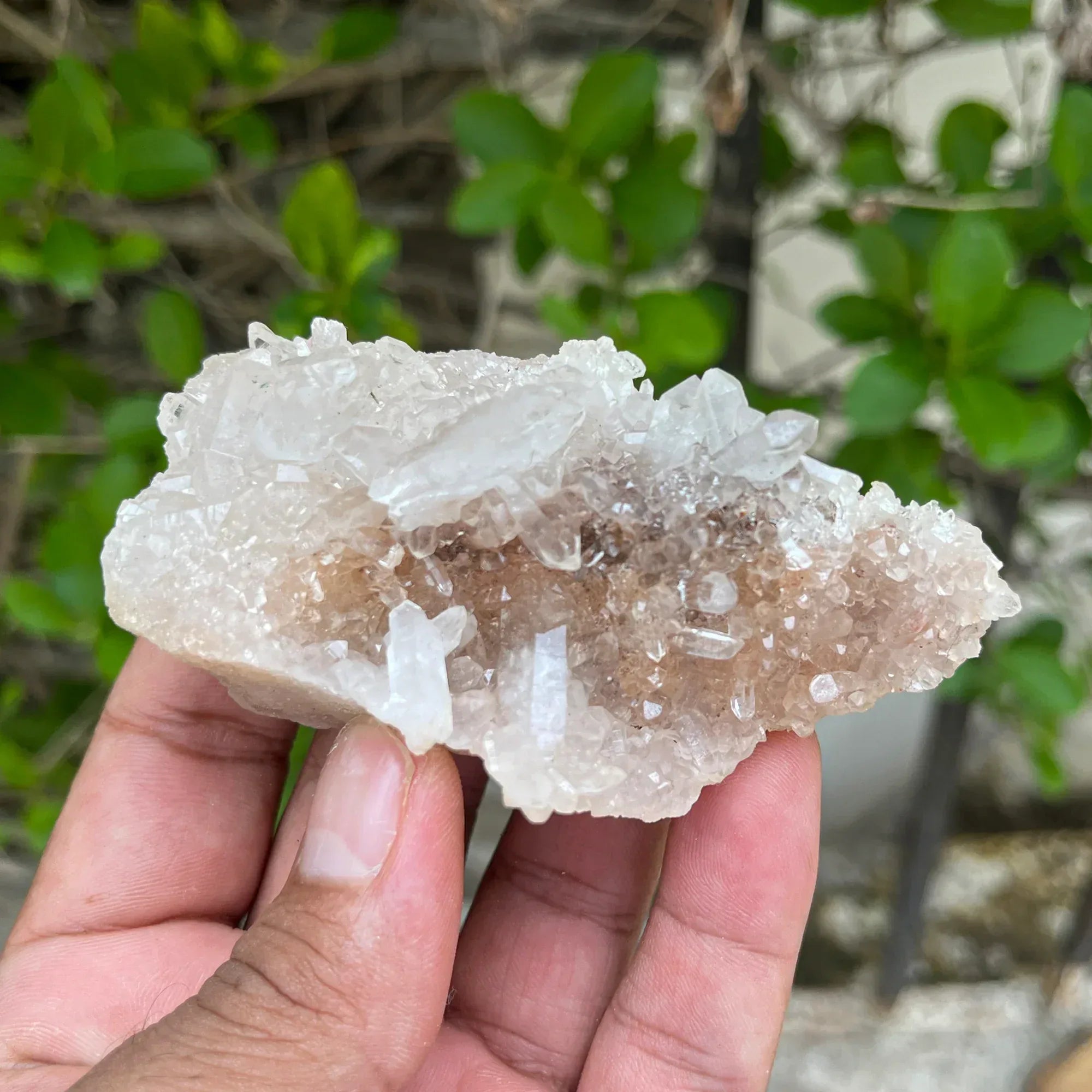 Natural Himalayan Pink Quartz Cluster 120g Himalayan Quartz
