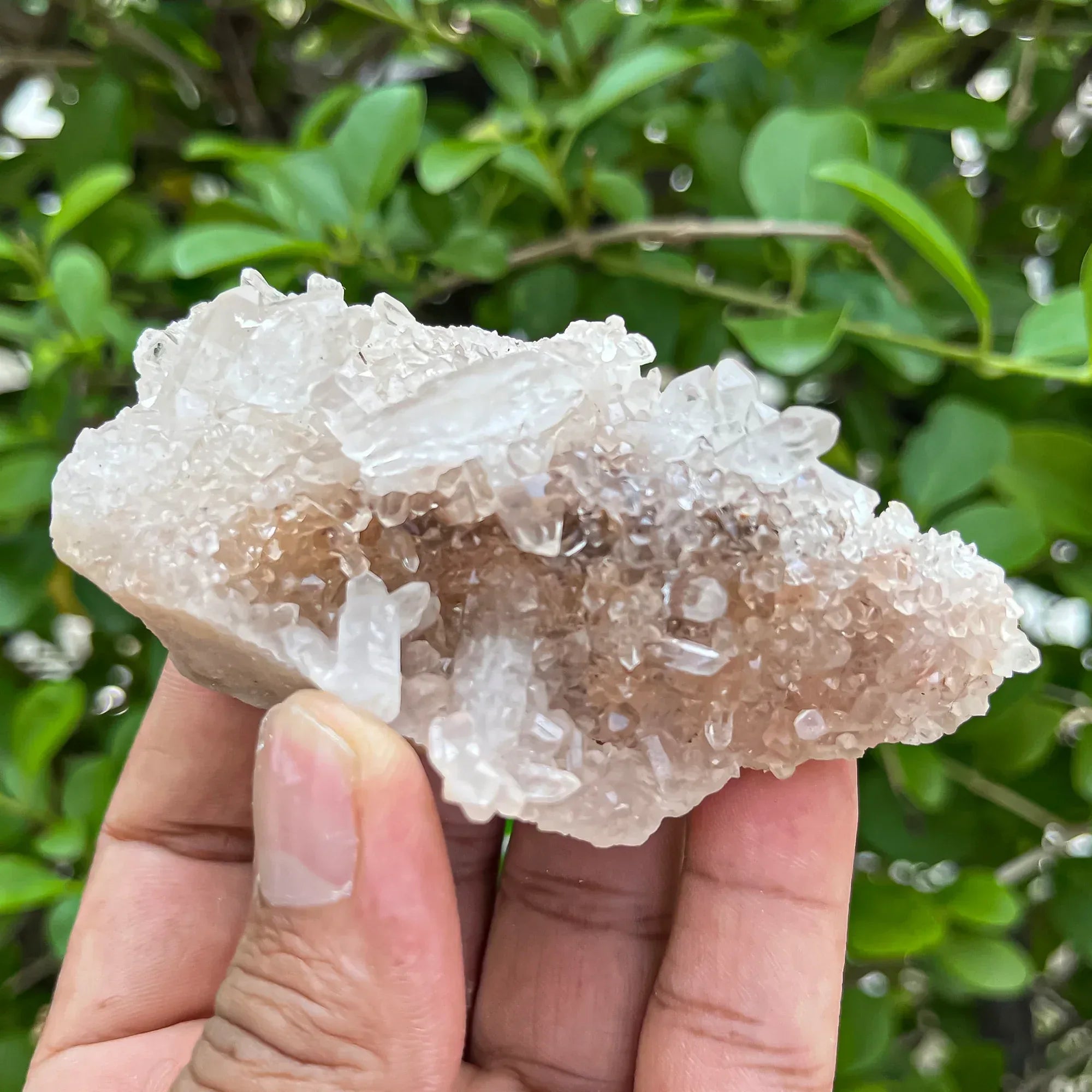 Natural Himalayan Pink Quartz Cluster 120g Himalayan Quartz