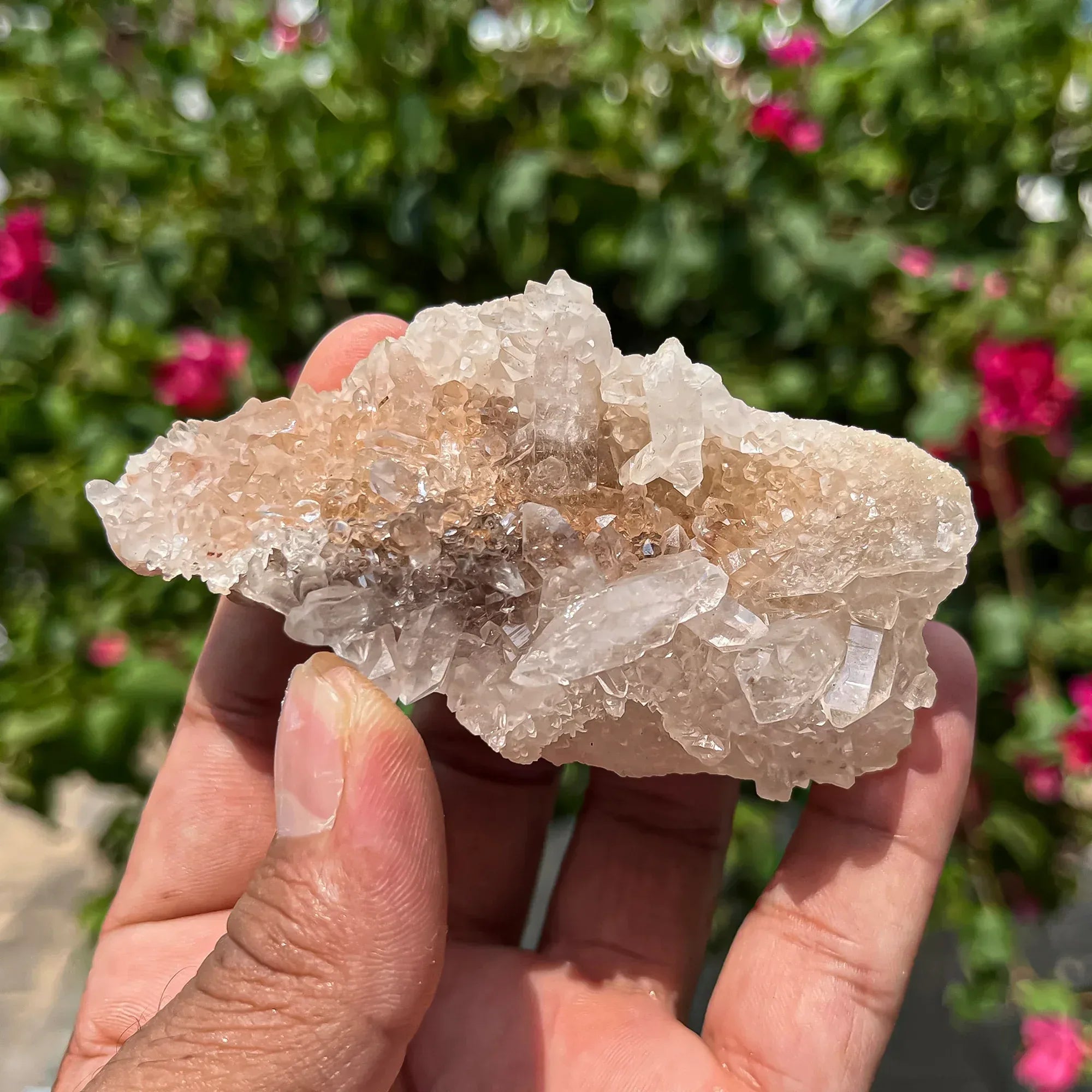 Natural Himalayan Pink Quartz Cluster 120g Himalayan Quartz